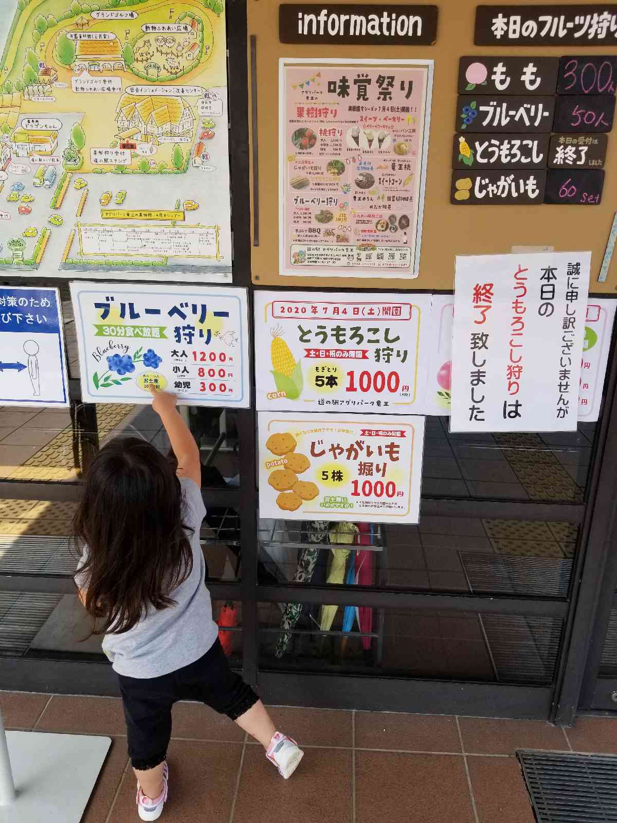投稿された画像