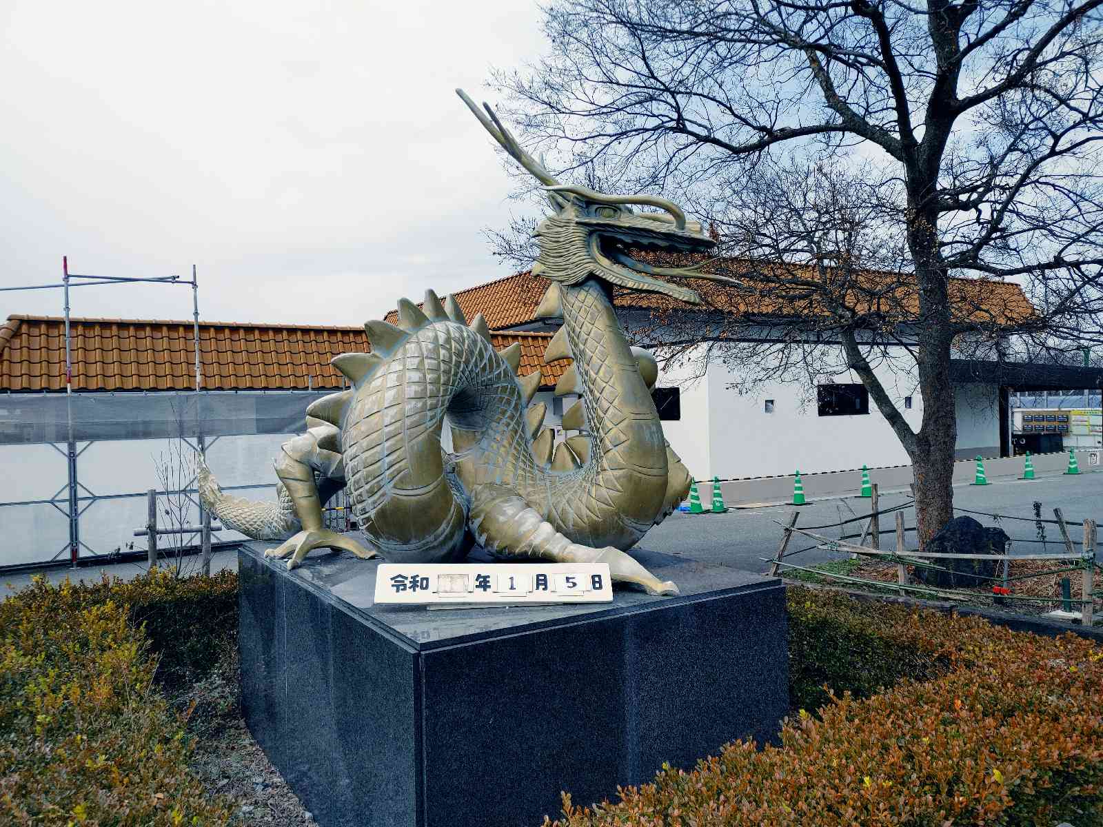投稿された画像