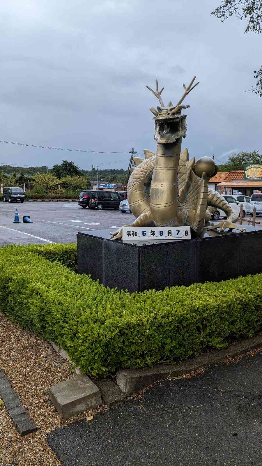 投稿された画像