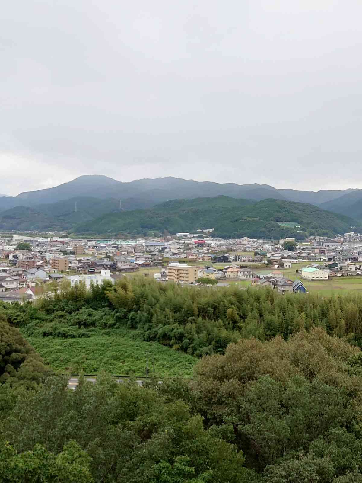 投稿された画像