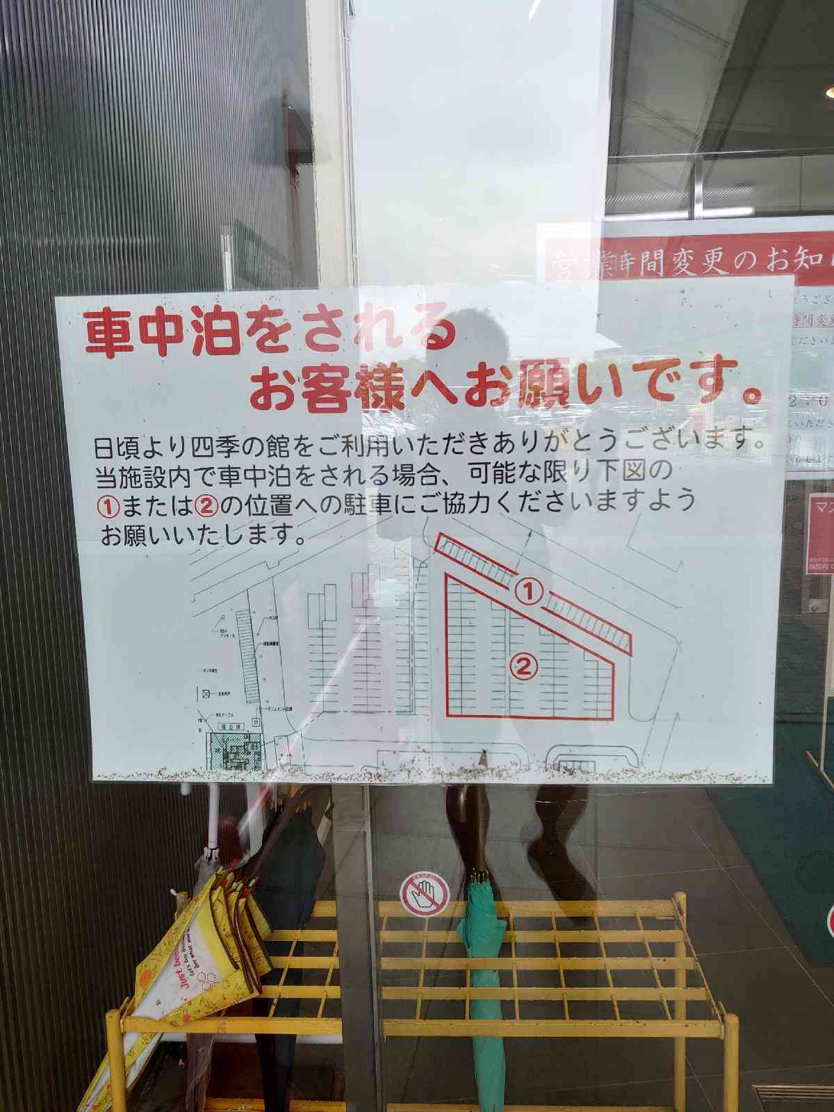 投稿された画像