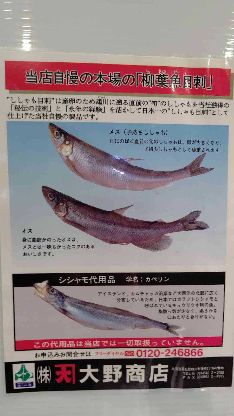 投稿された画像