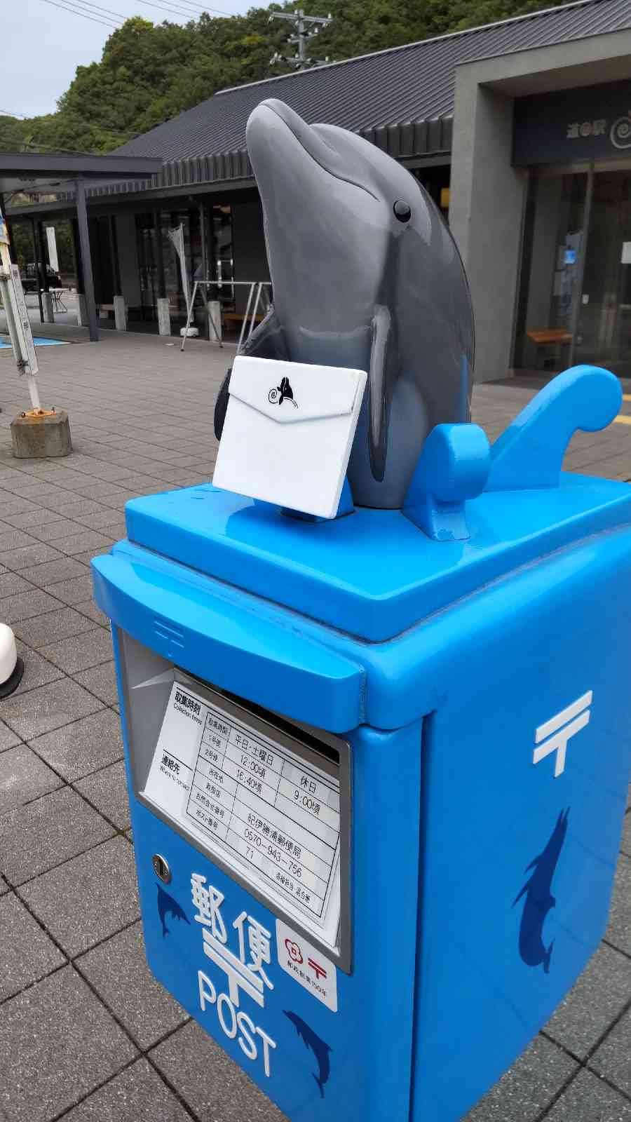 投稿された画像