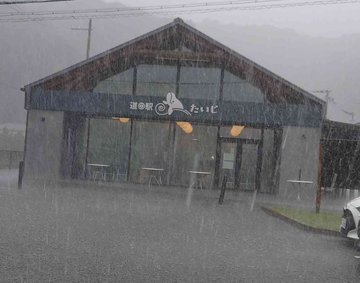 投稿された画像