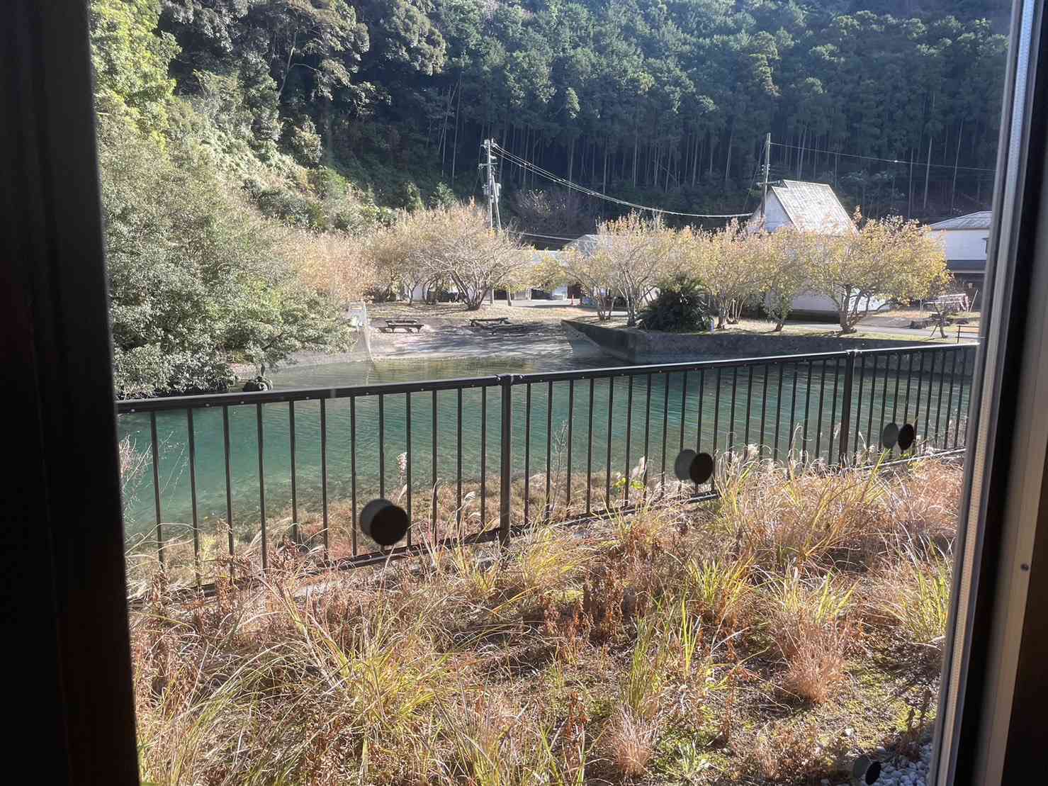 投稿された画像