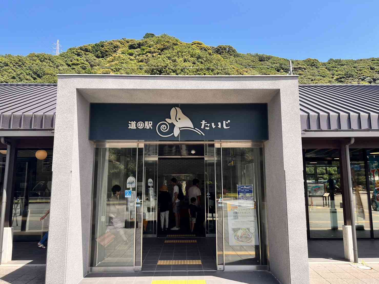 投稿された画像