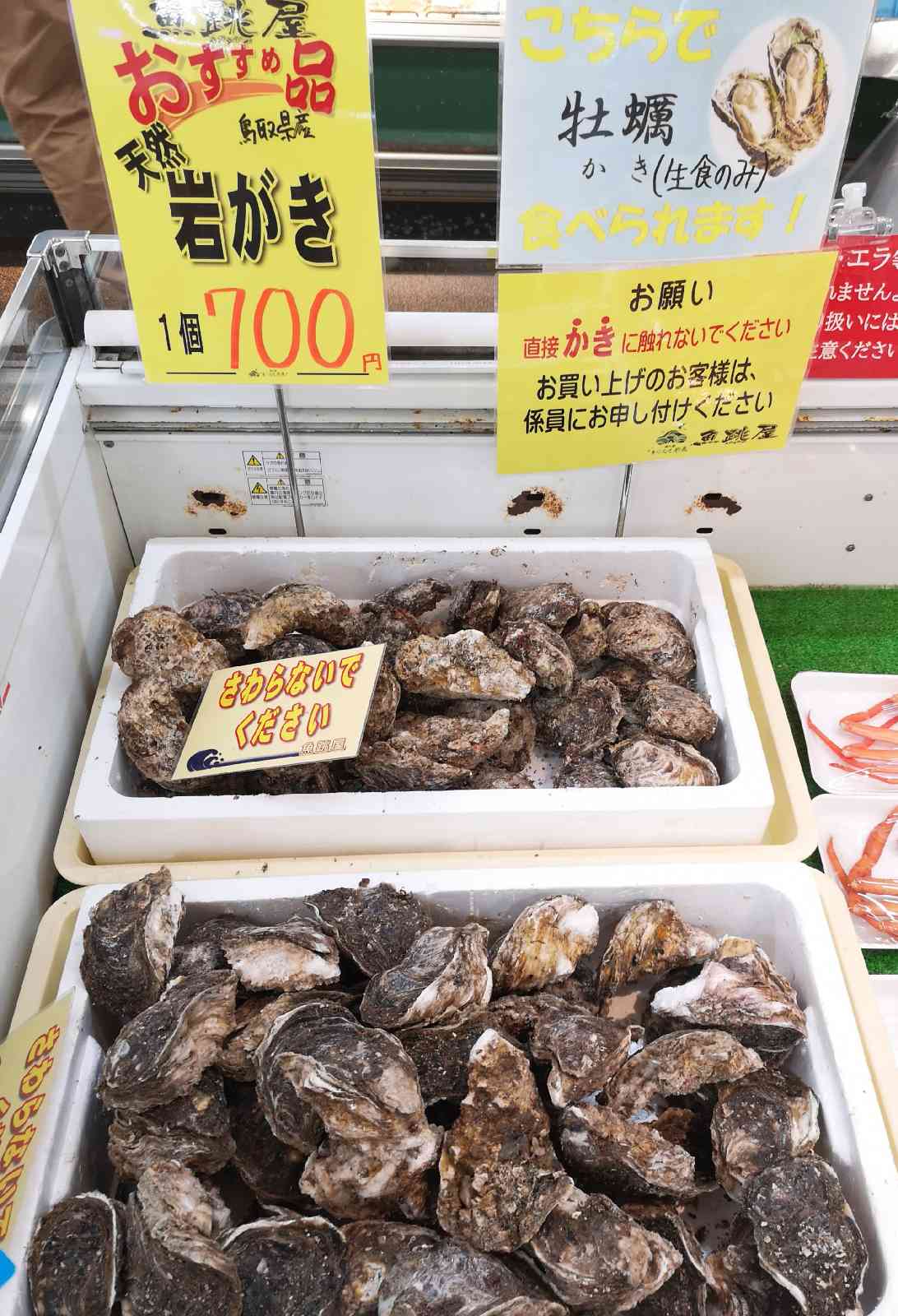 道の駅 きなんせ岩美の写真