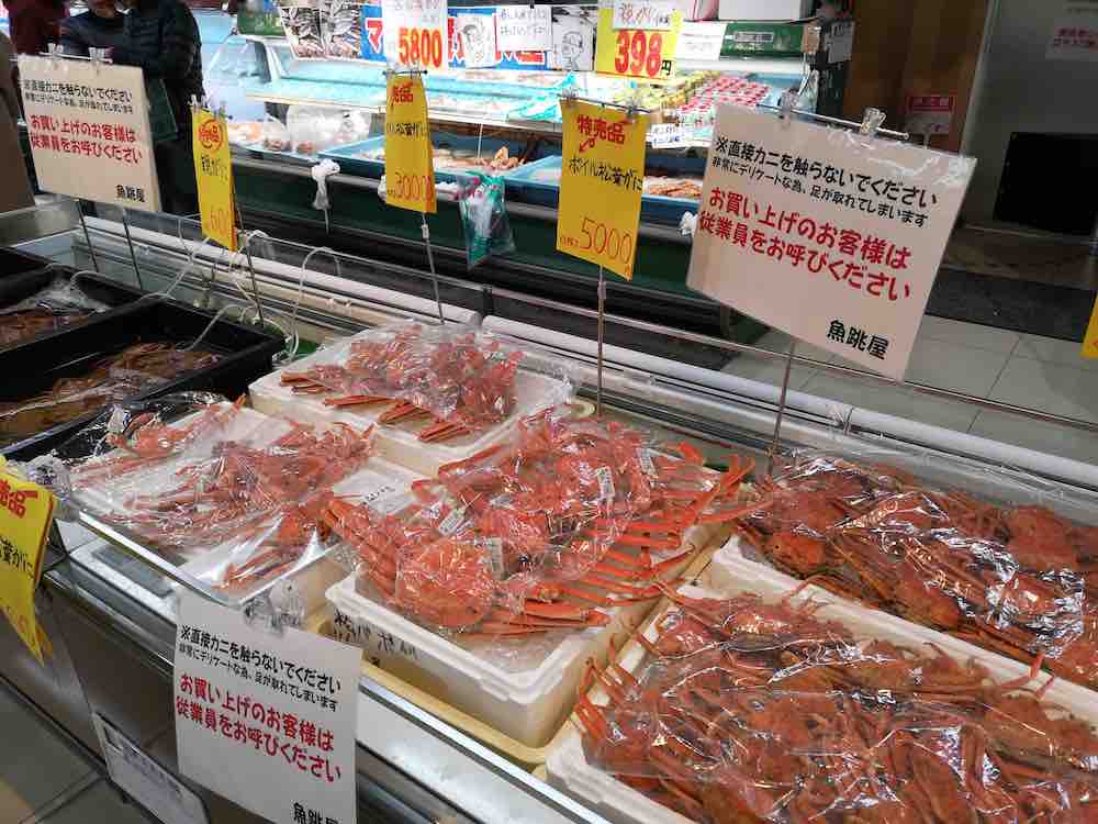 投稿された画像