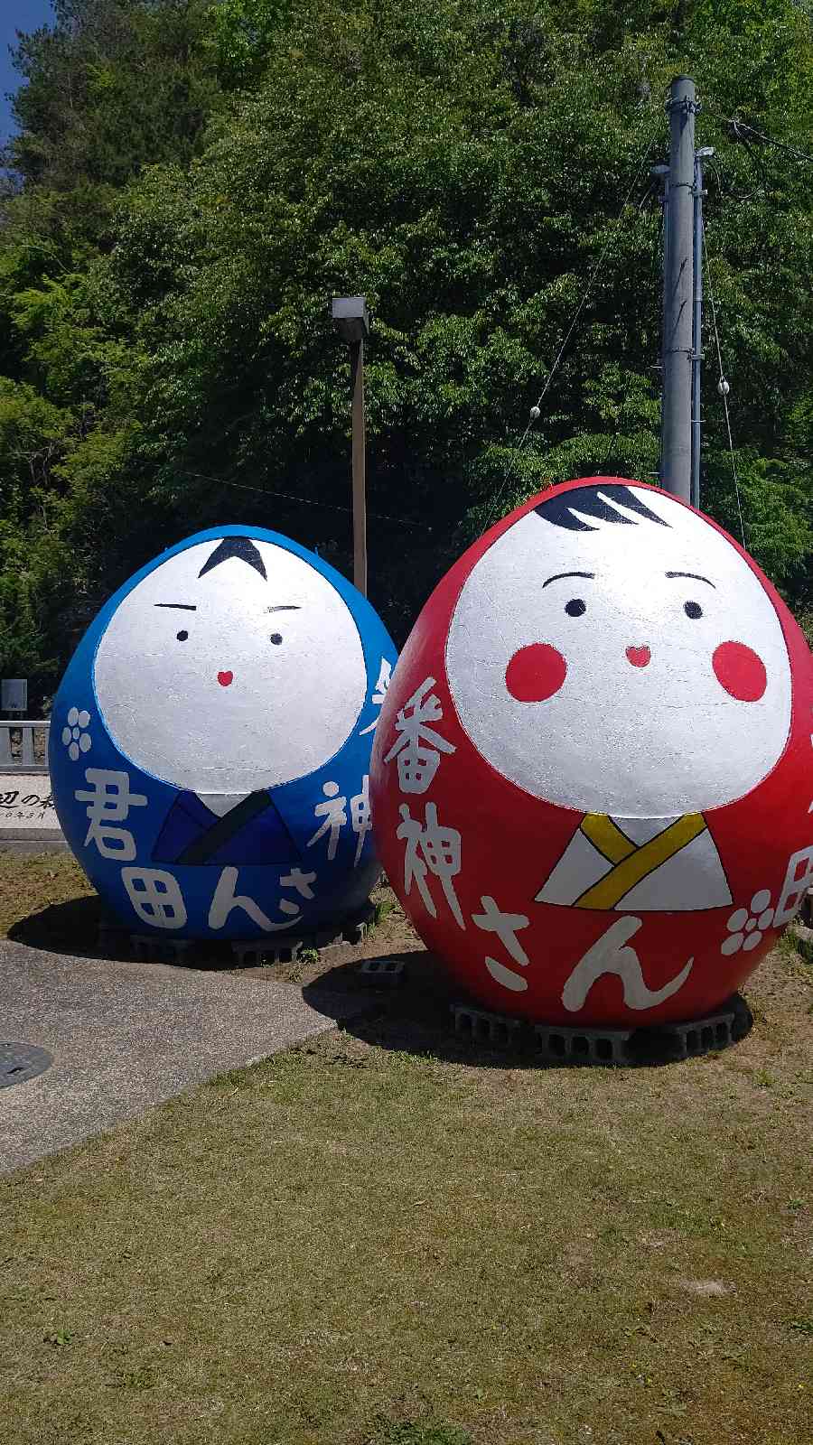 投稿された画像