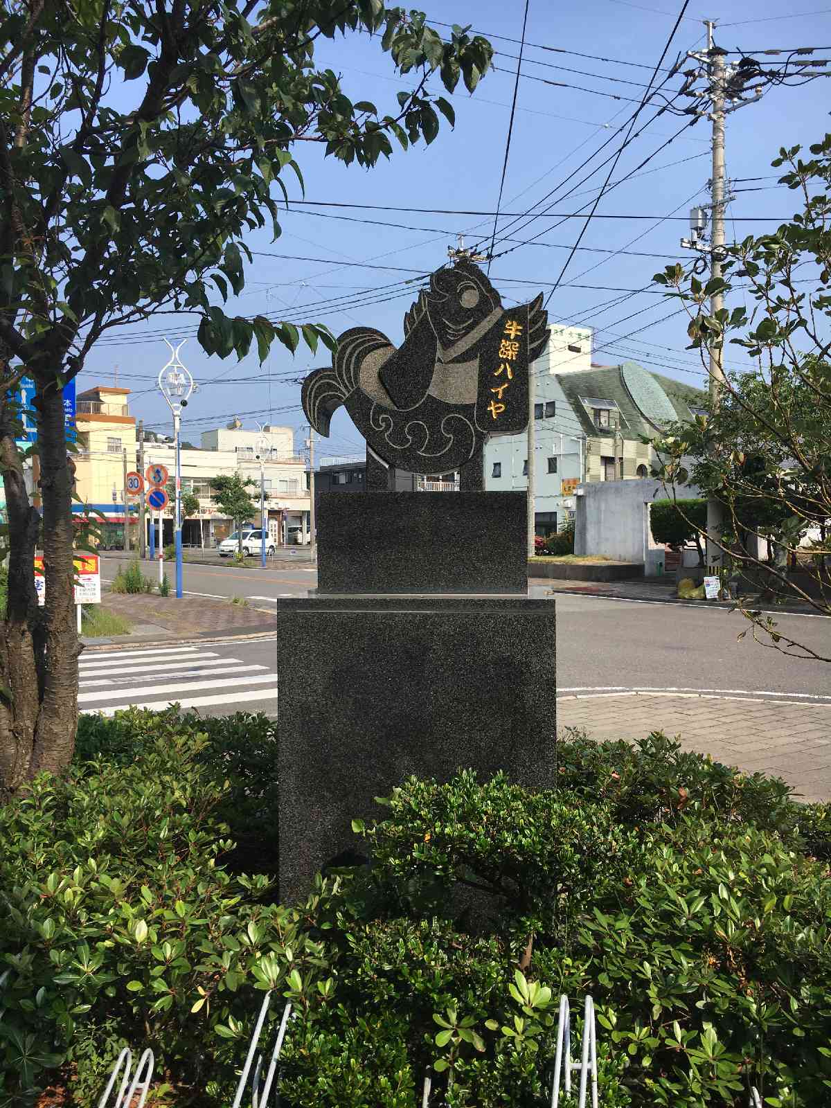 投稿された画像