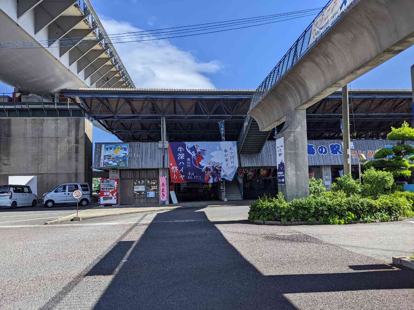 投稿された画像