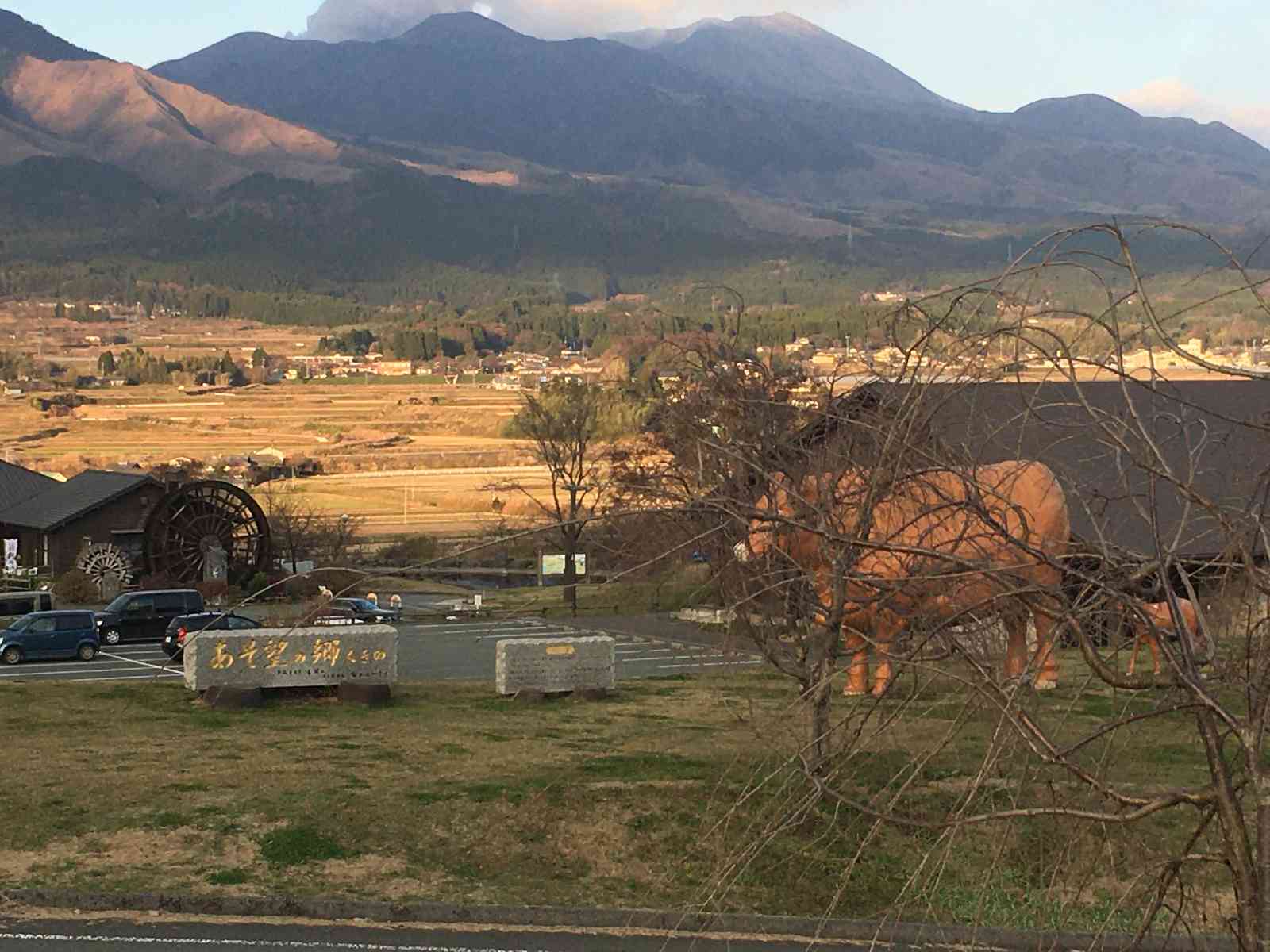 投稿された画像