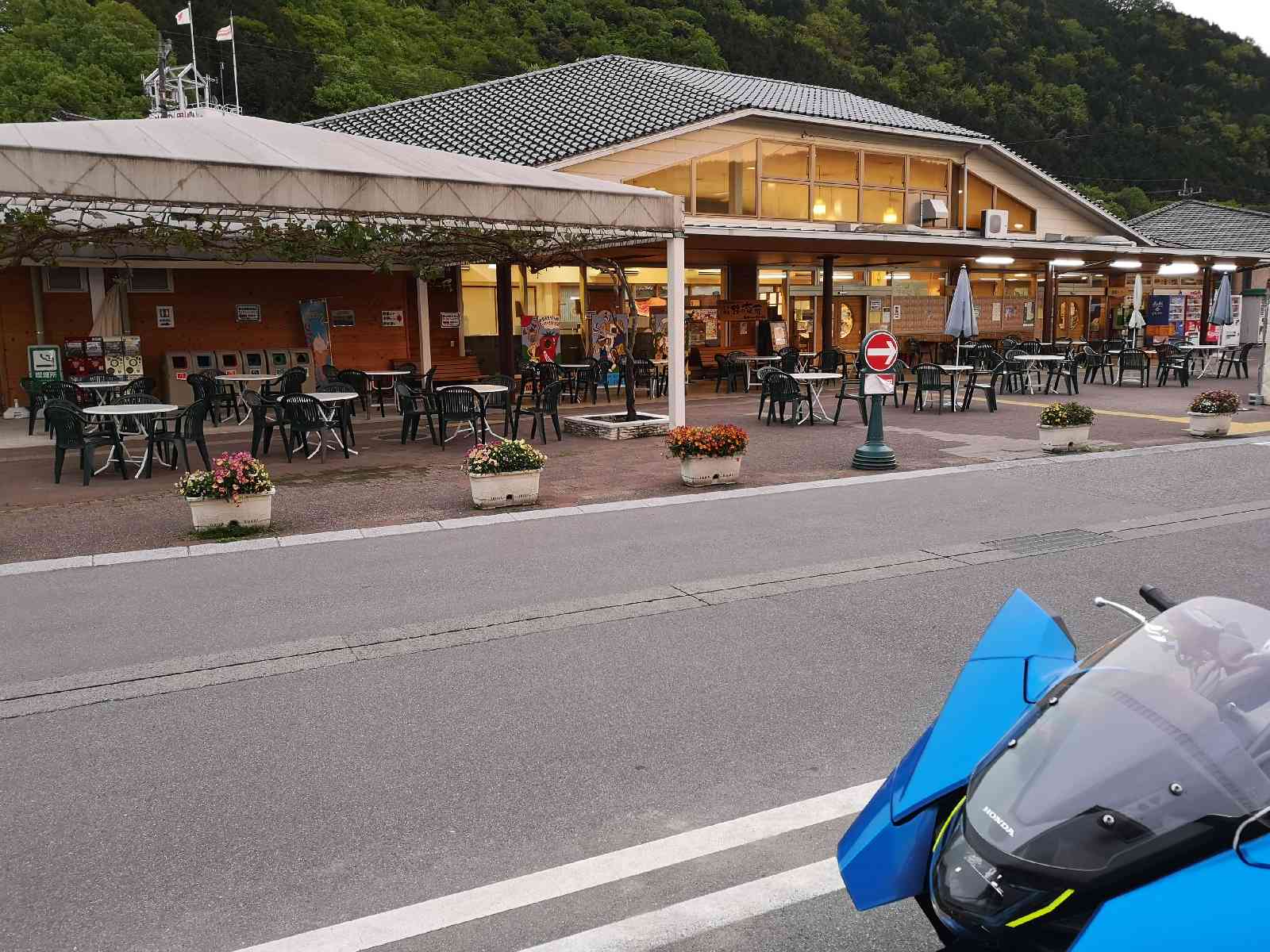 投稿された画像