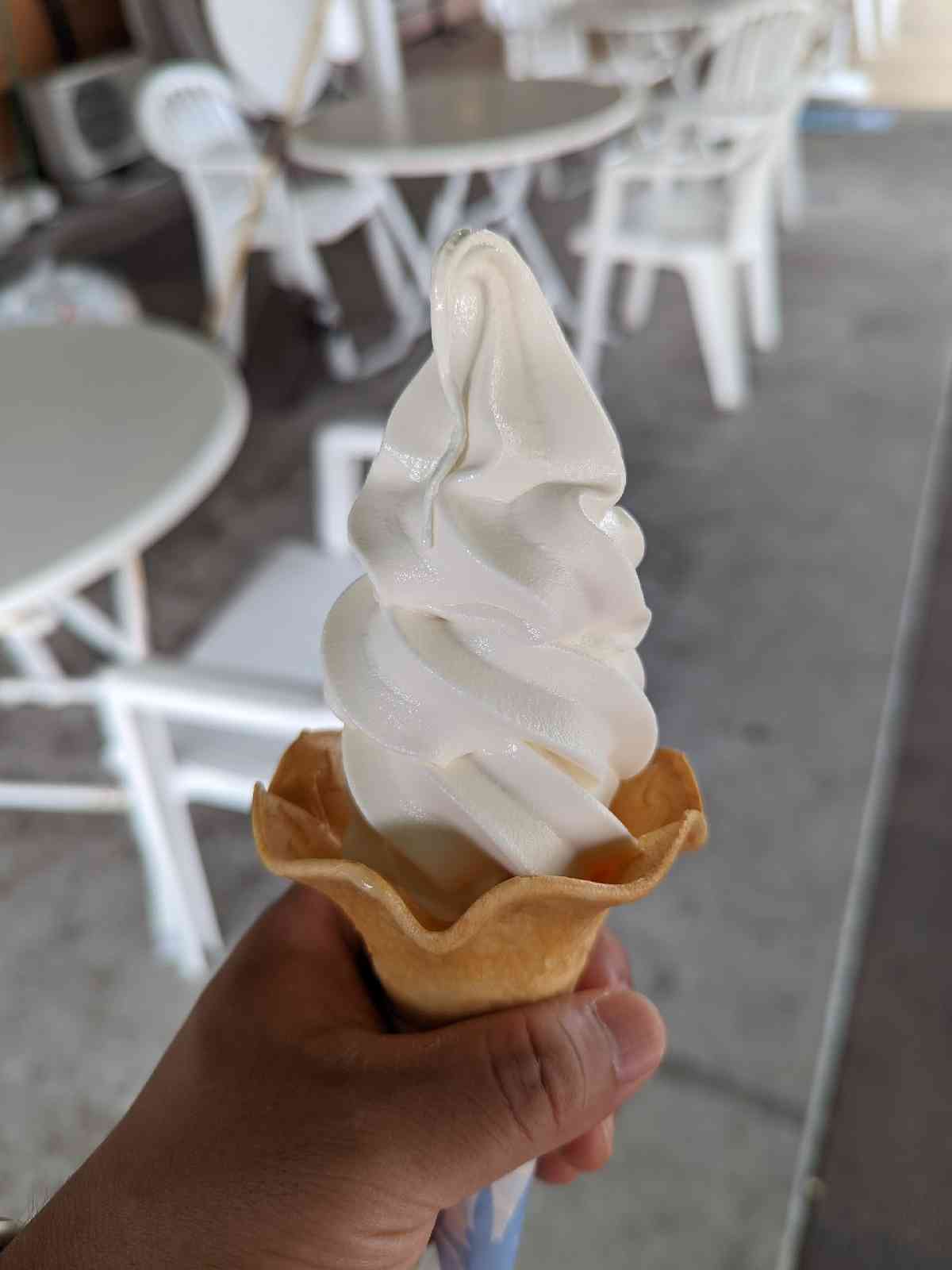 投稿された画像