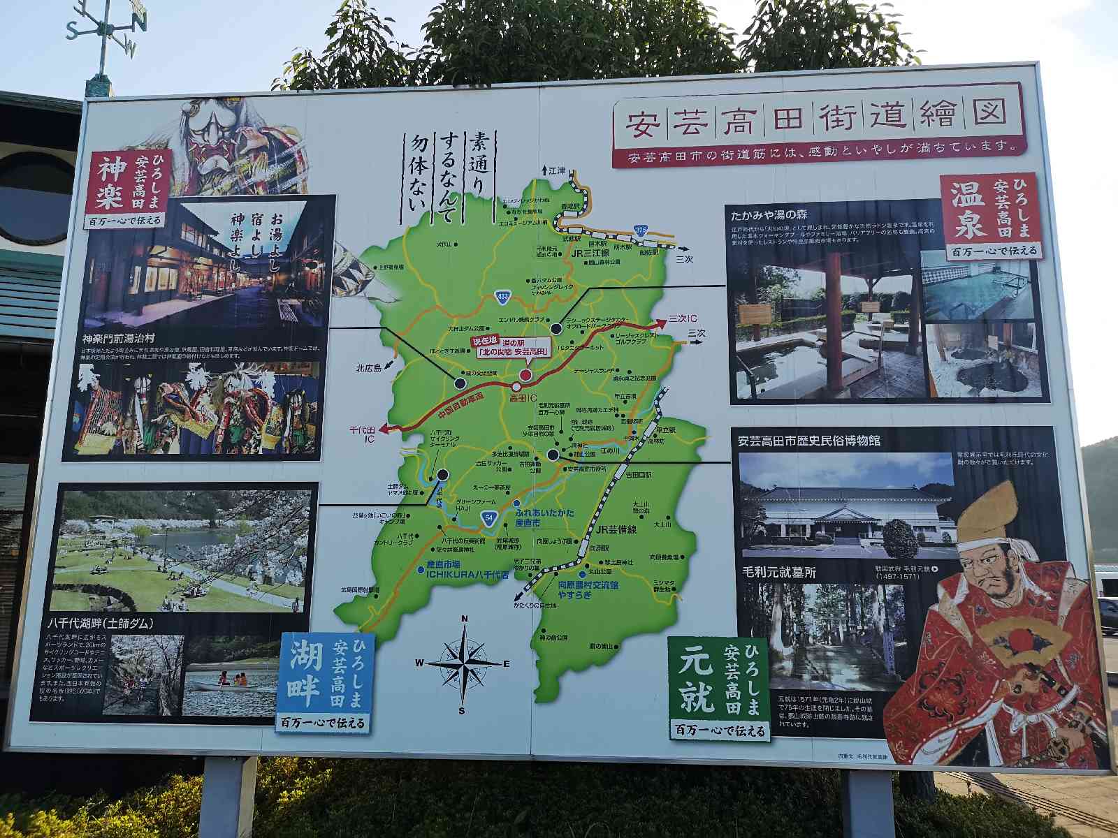 投稿された画像