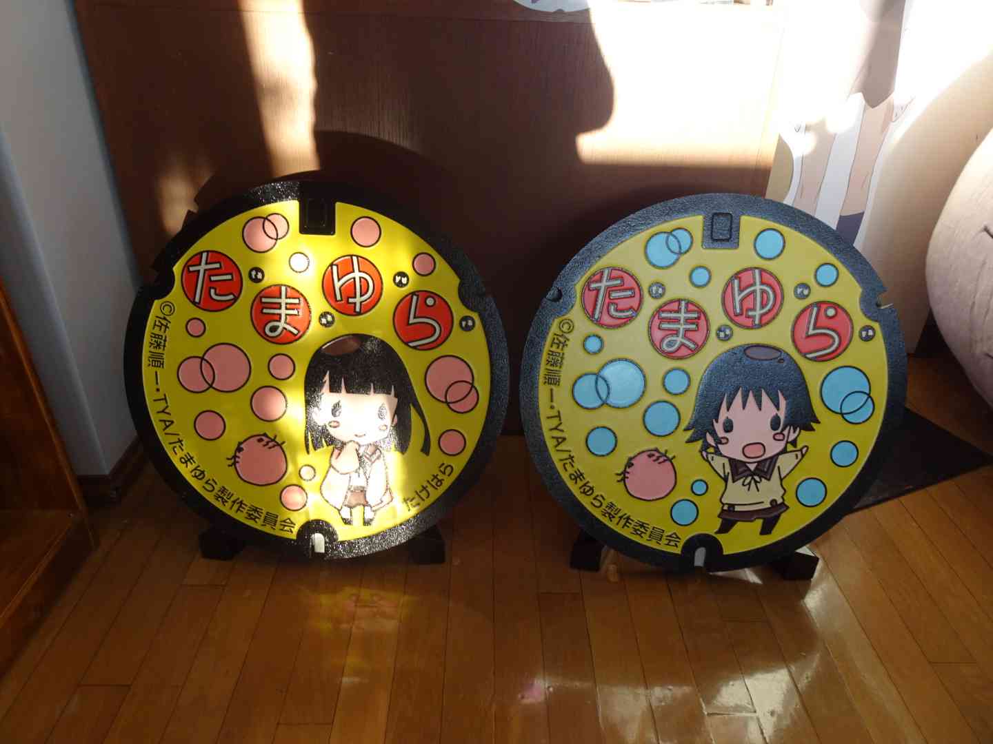 道の駅 たけはらの写真