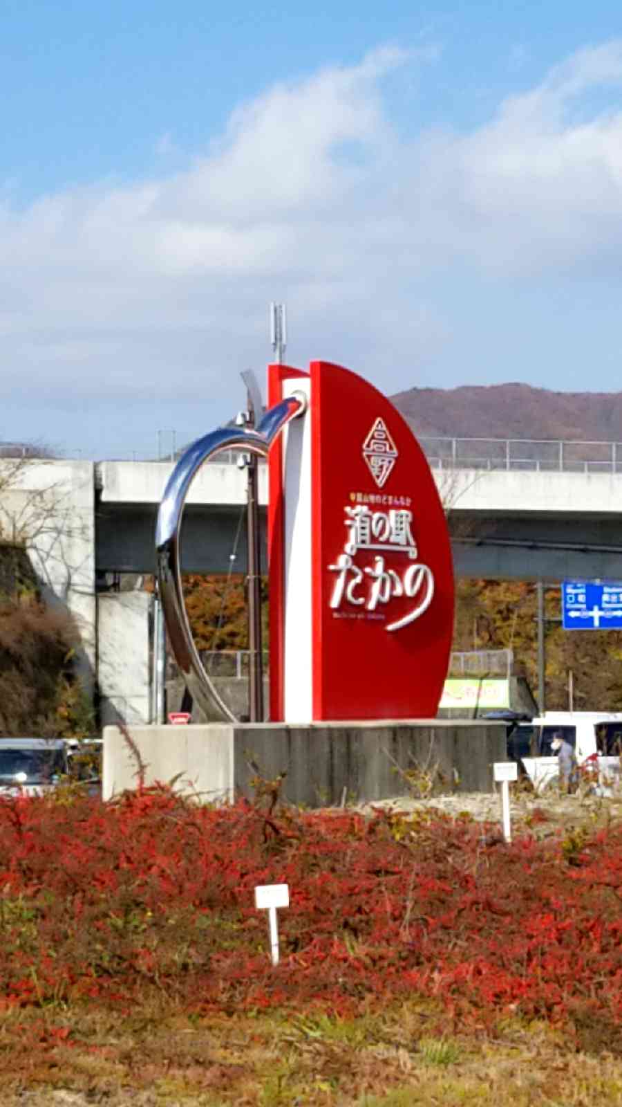 投稿された画像
