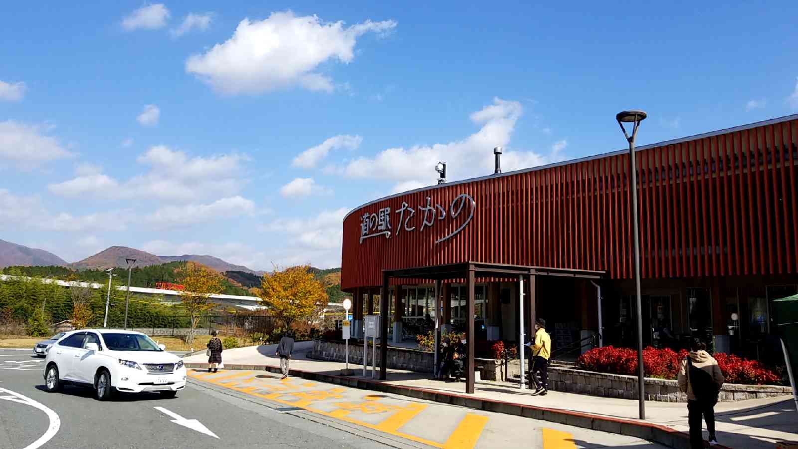 投稿された画像