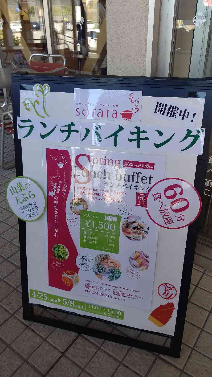 投稿された画像