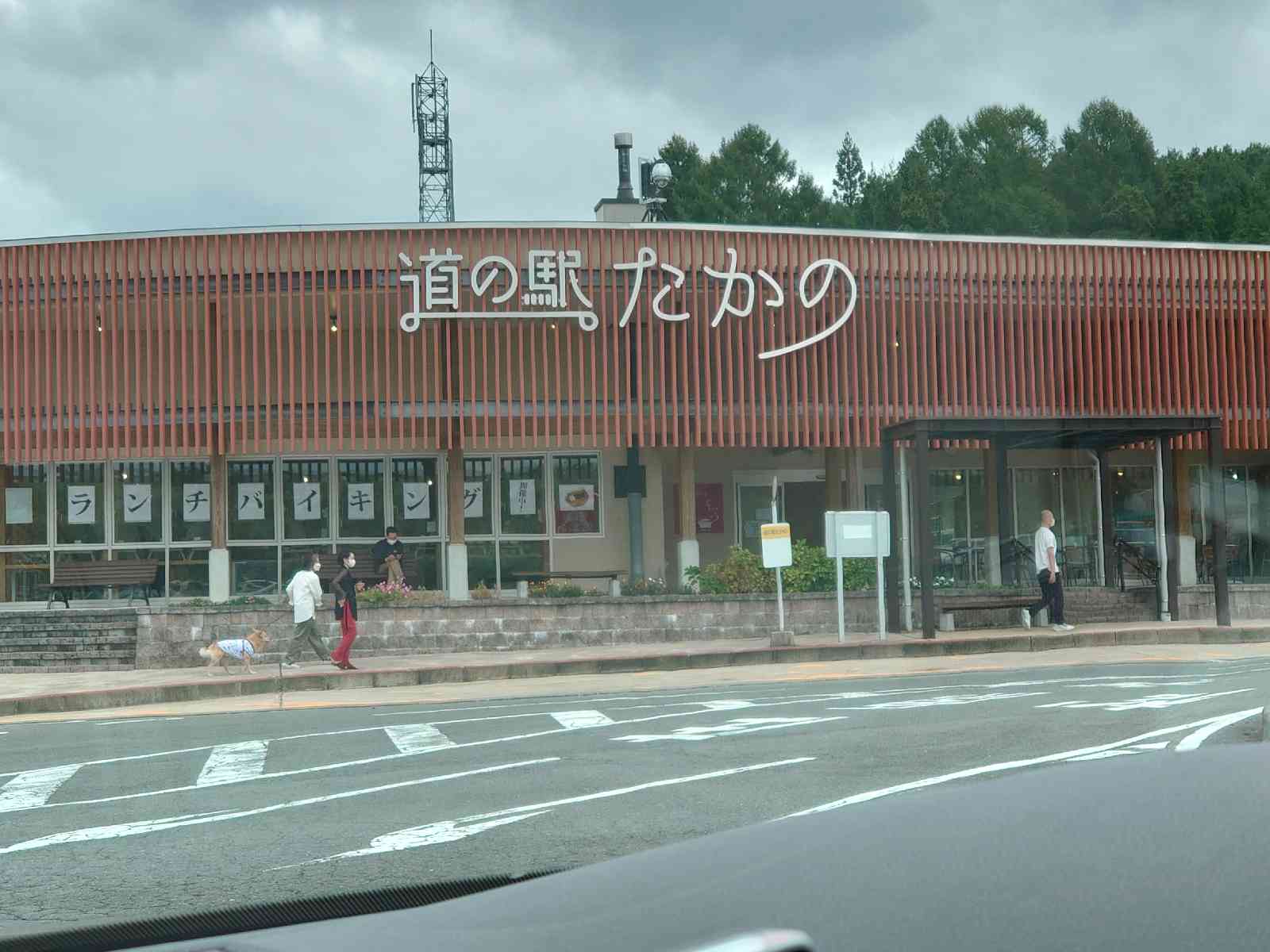 投稿された画像