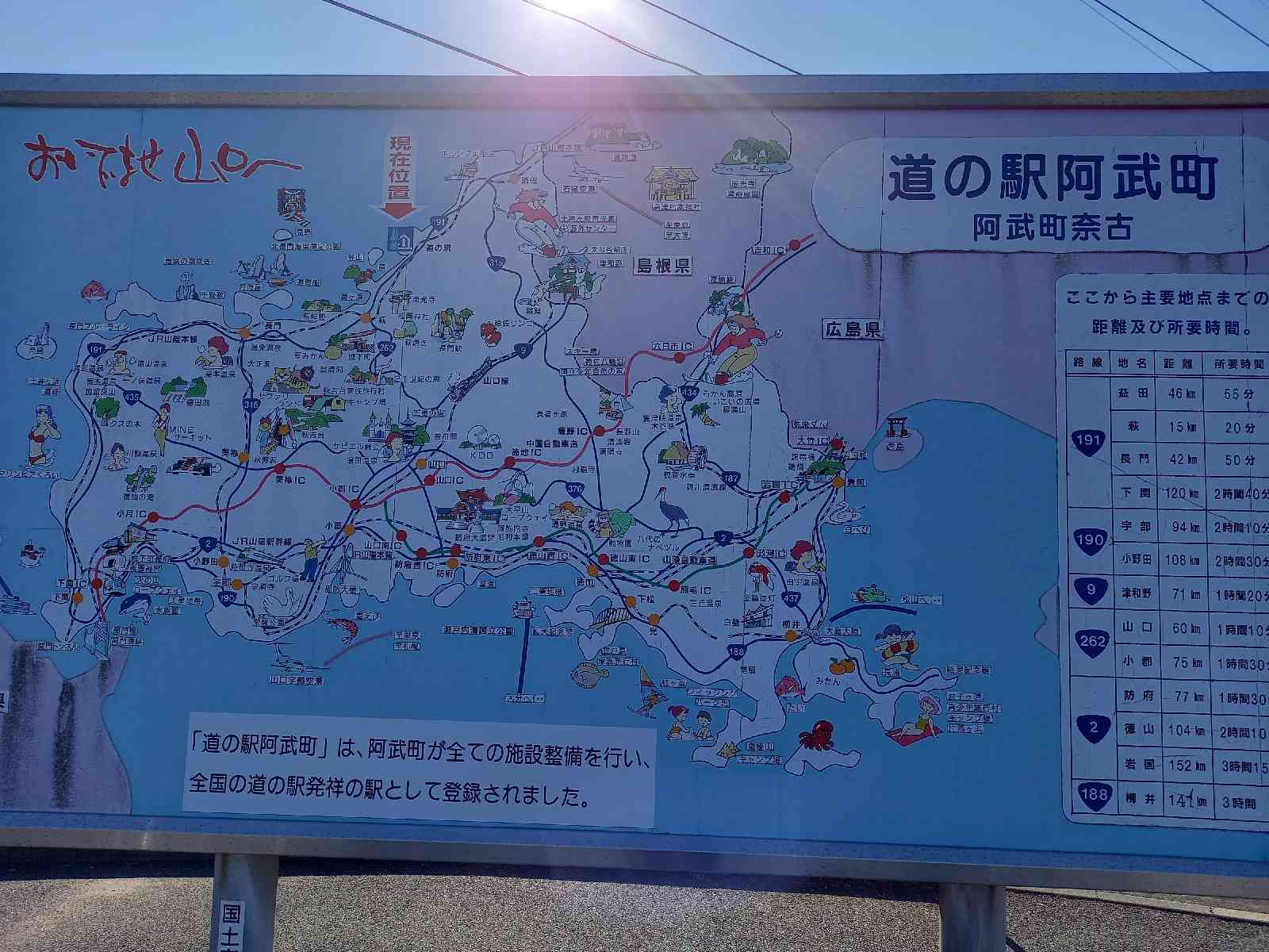 投稿された画像