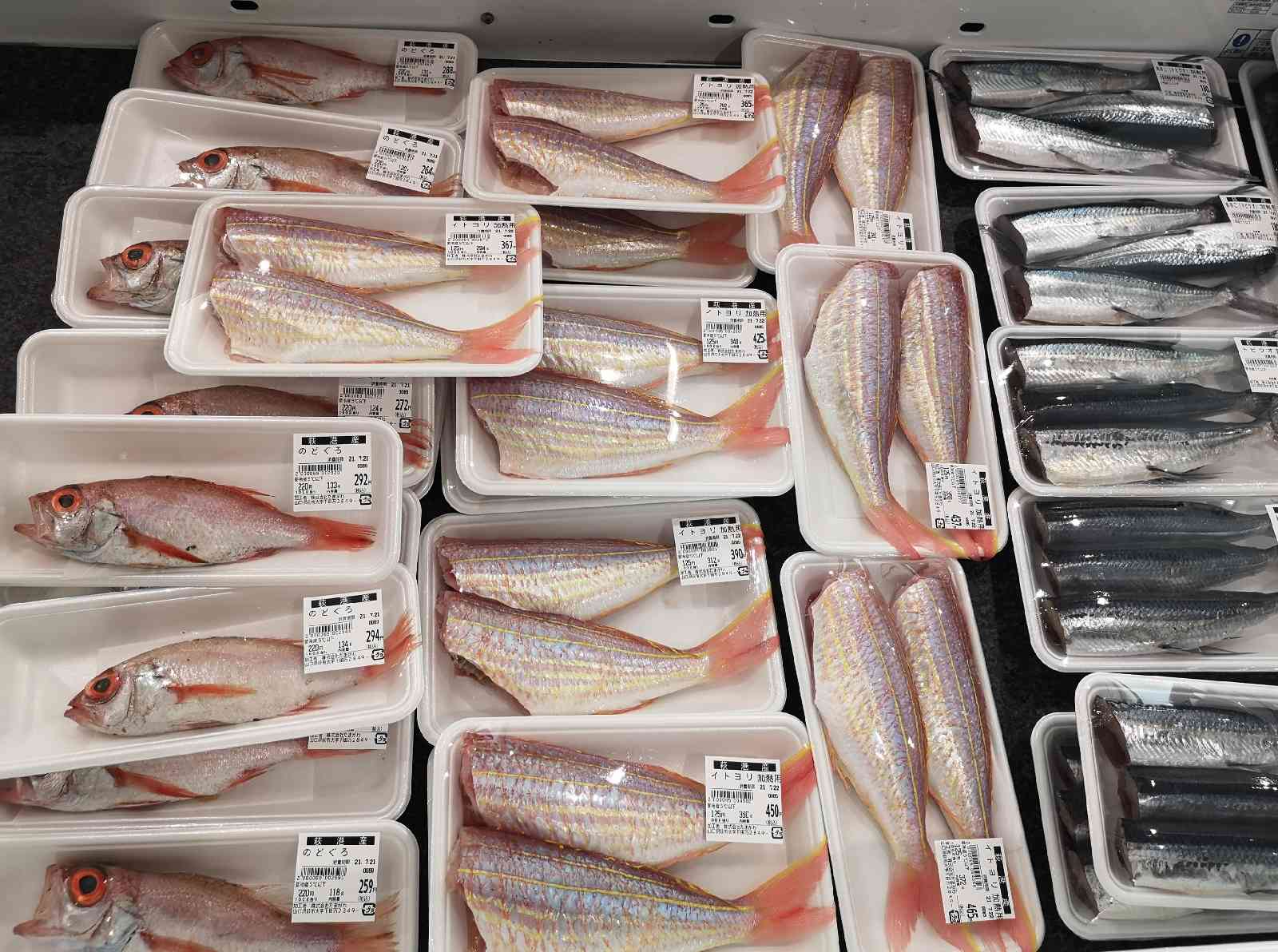 投稿された画像