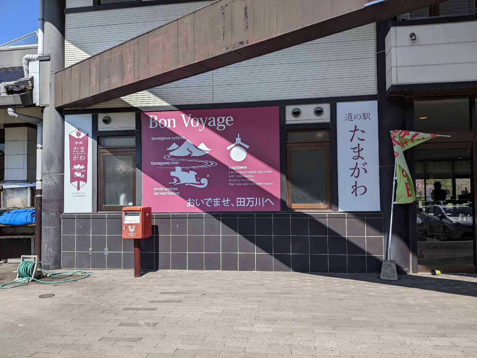 投稿された画像