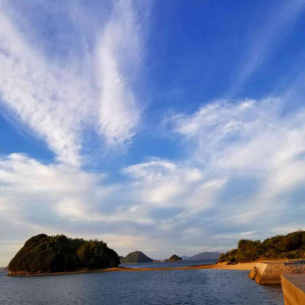 投稿された画像