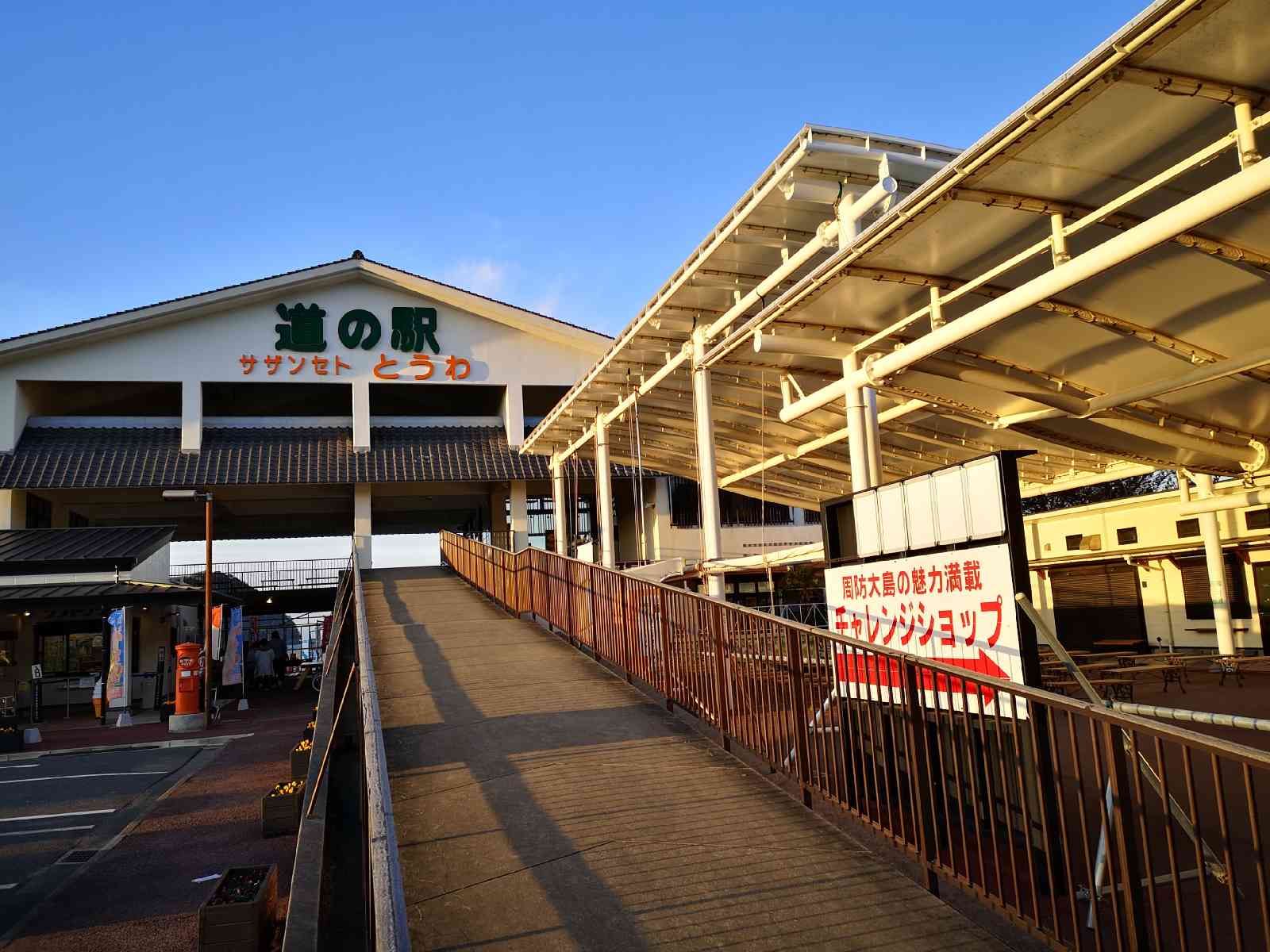 投稿された画像