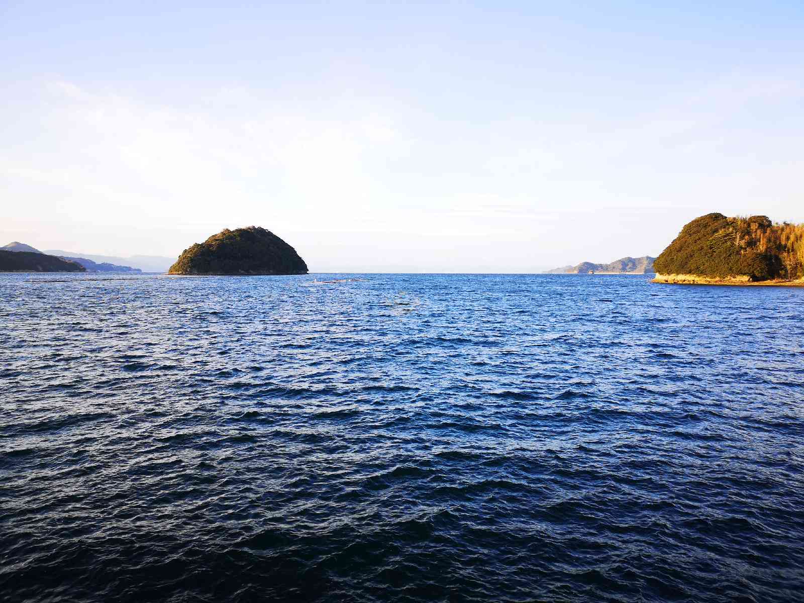 投稿された画像