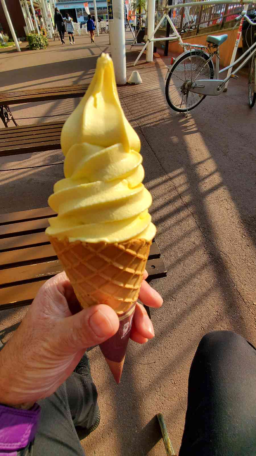 投稿された画像