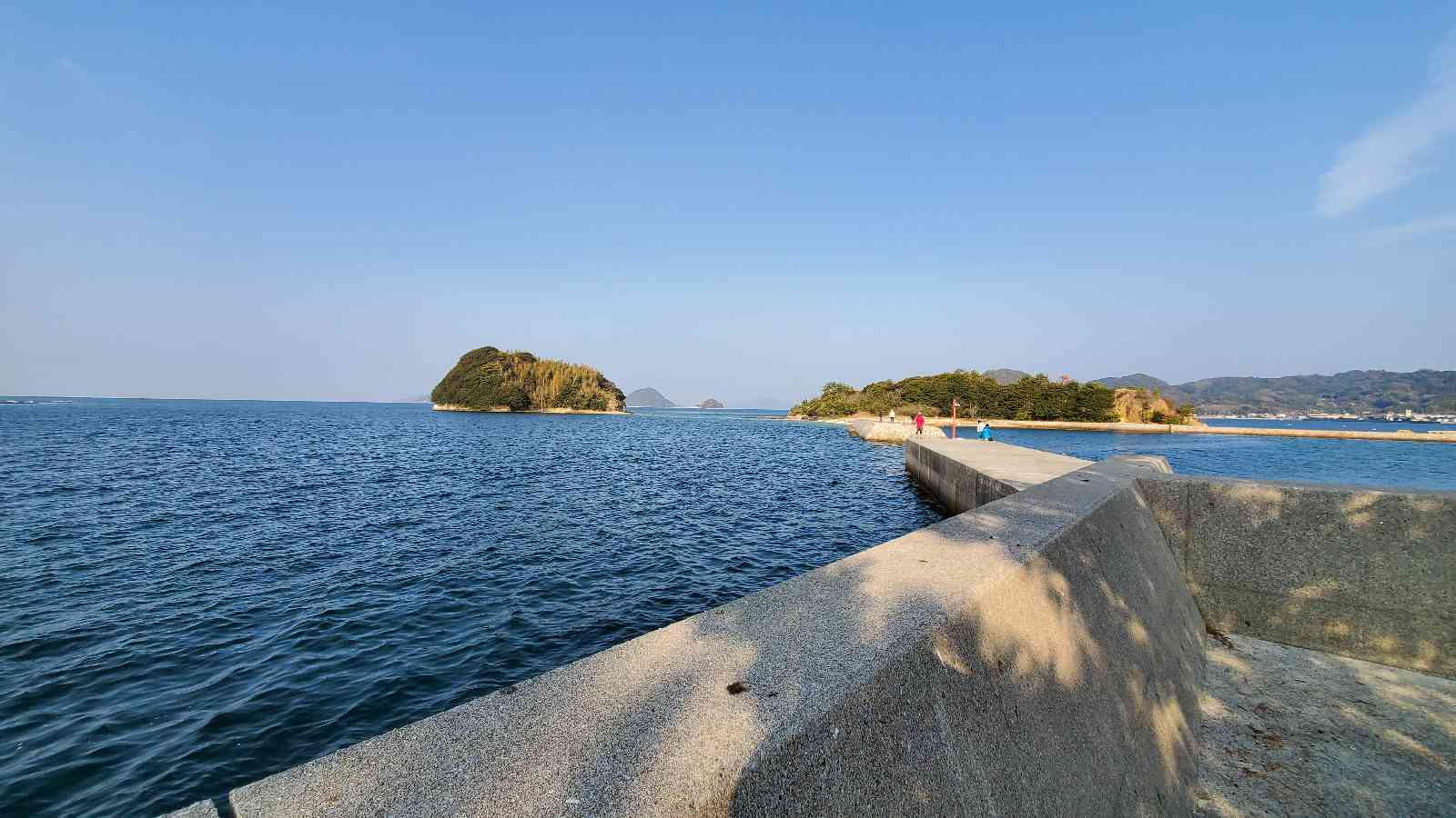 投稿された画像