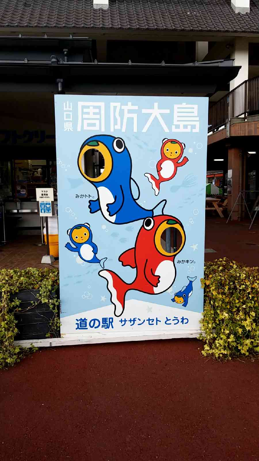 投稿された画像