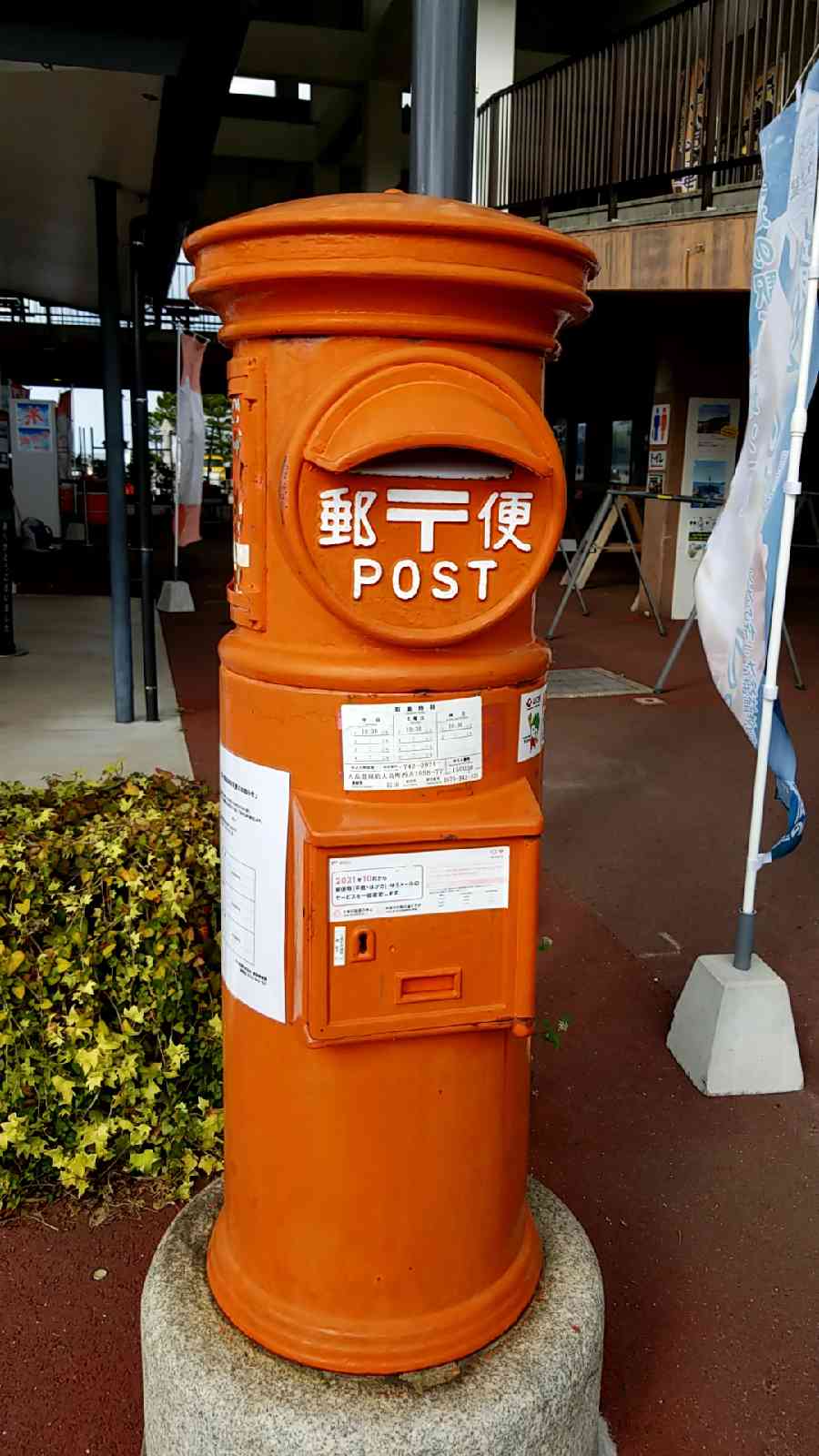 投稿された画像