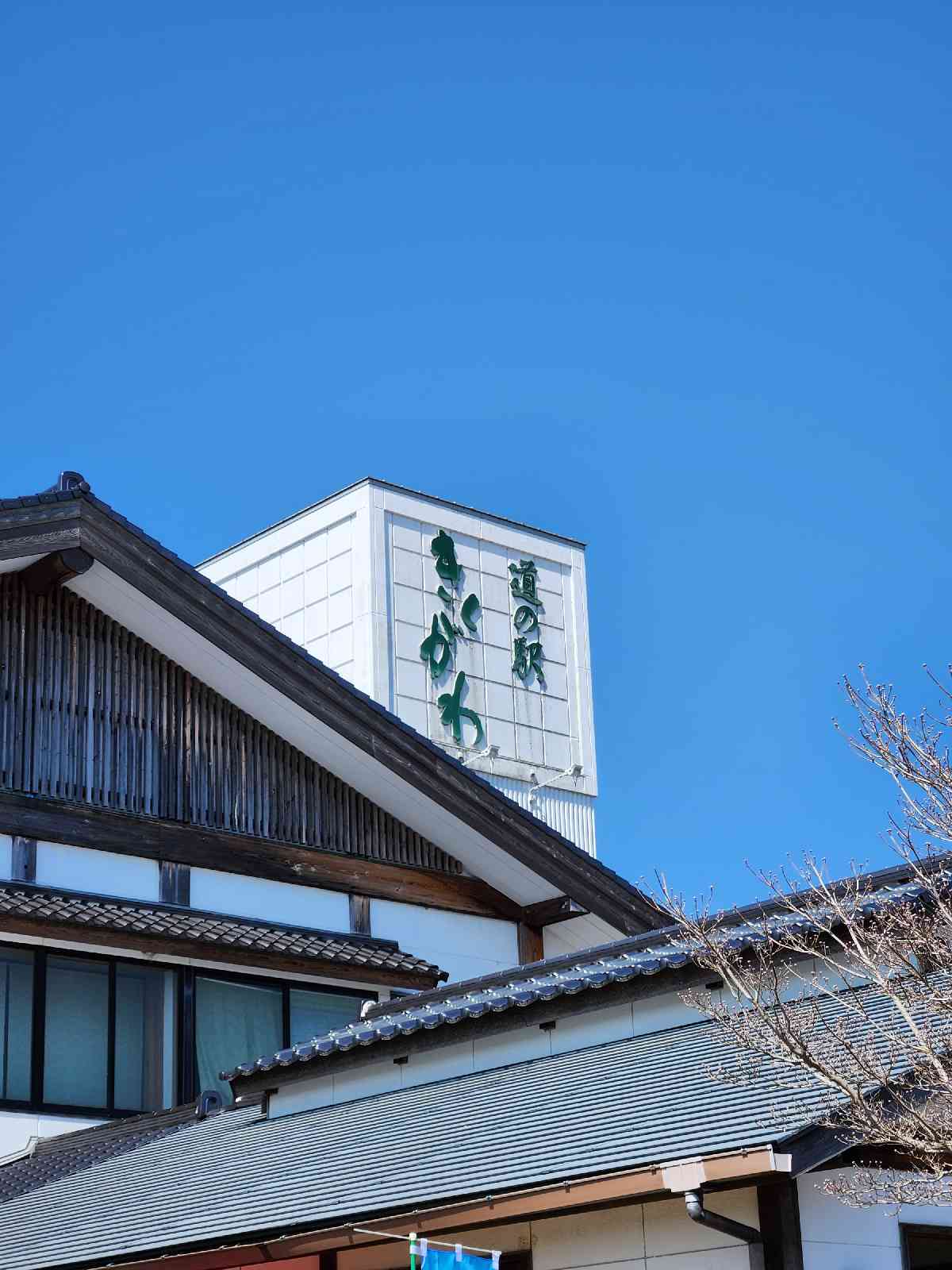 道の駅 きくがわの写真