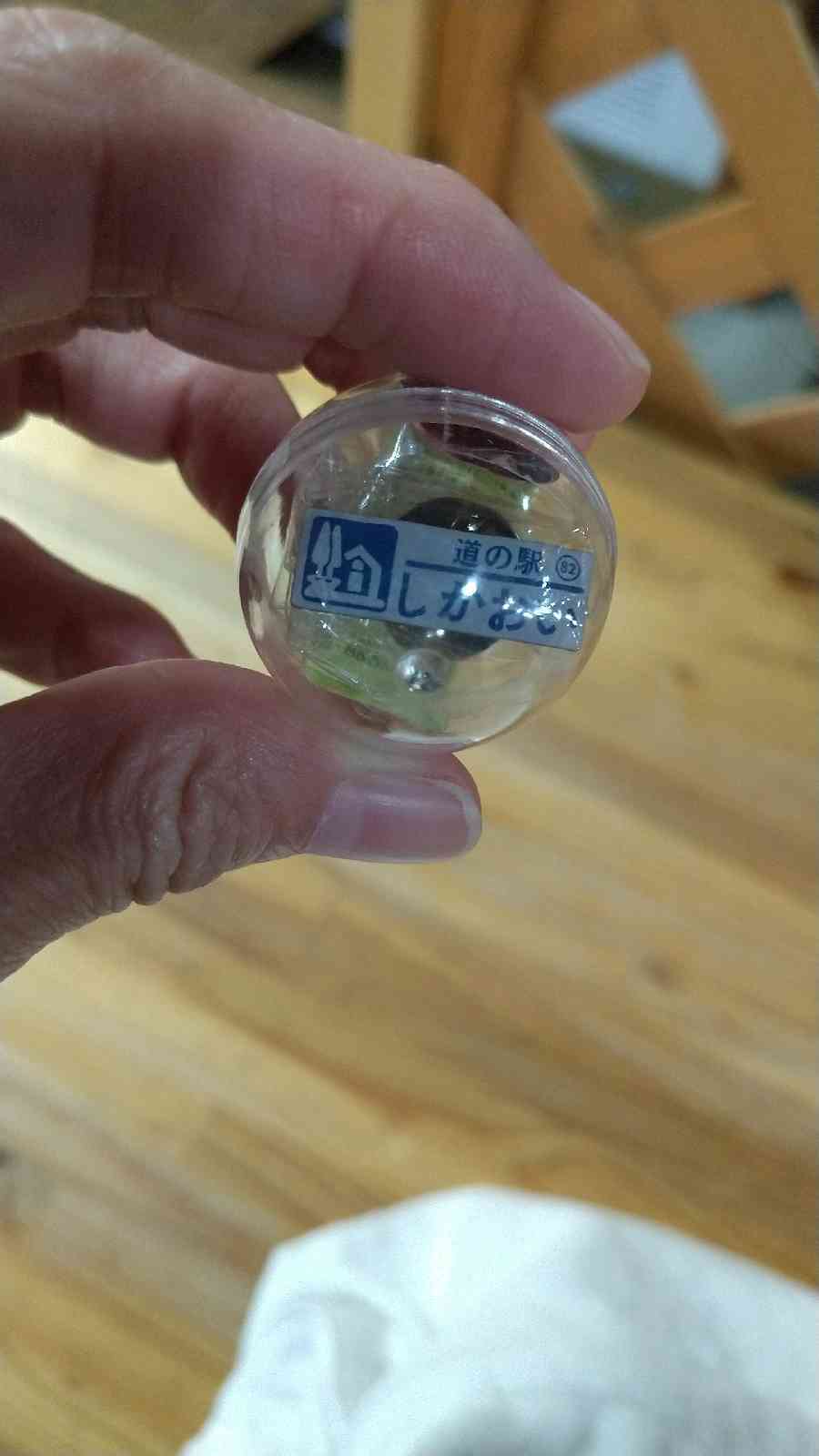 投稿された画像