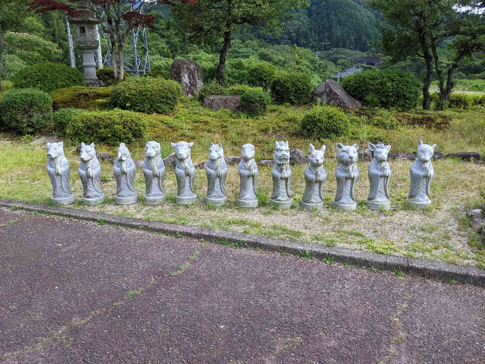 投稿された画像