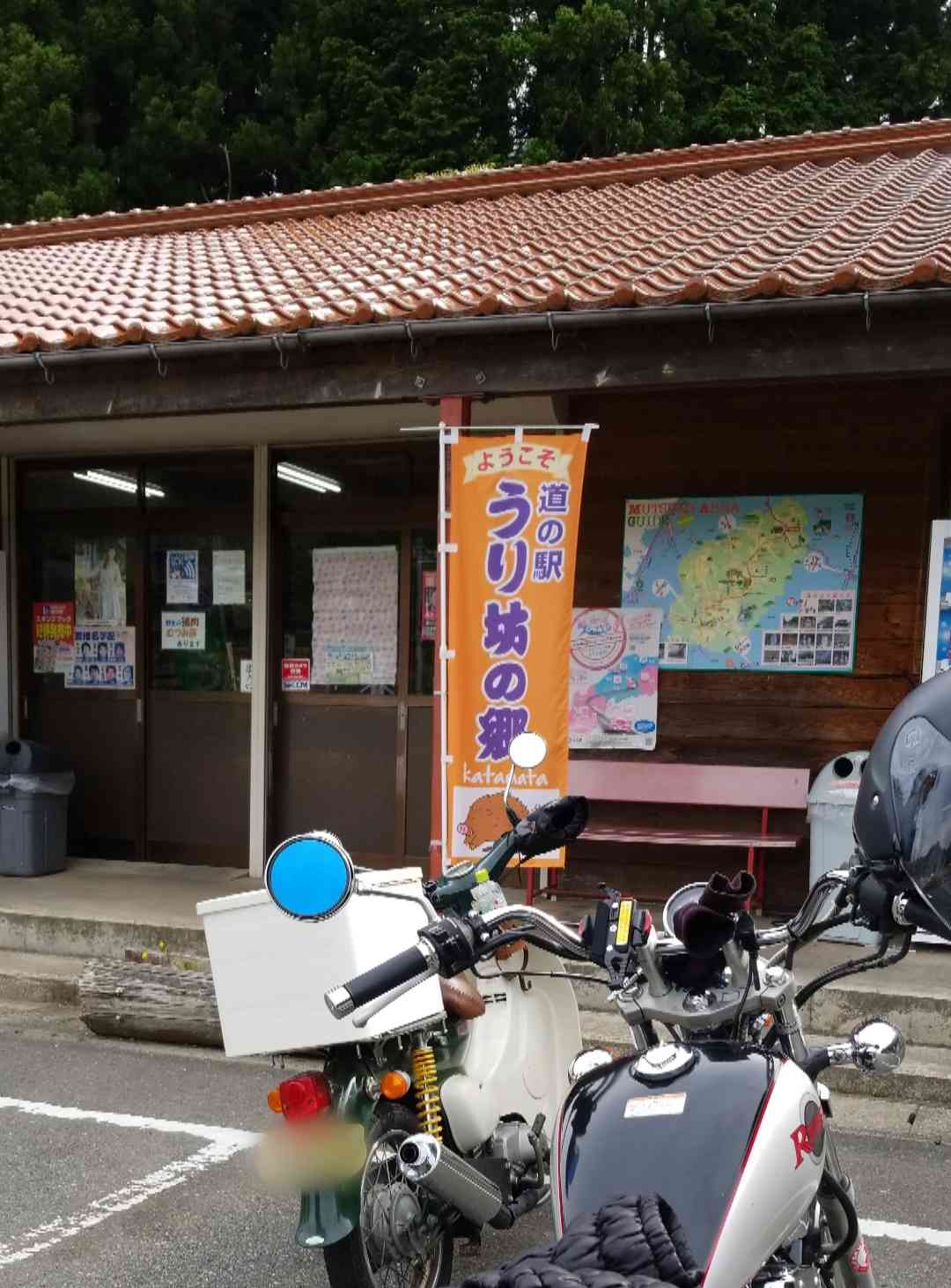 投稿された画像