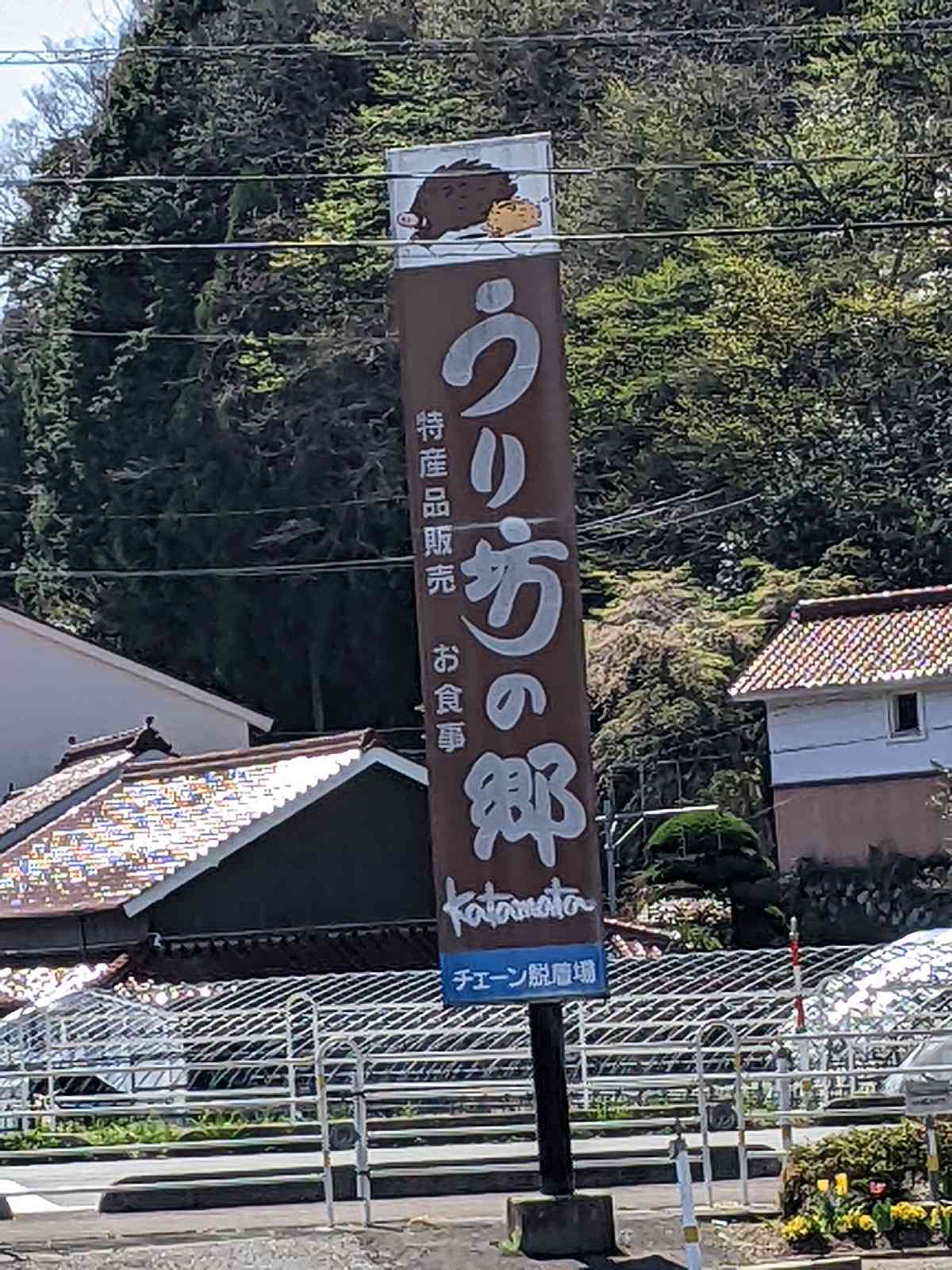 投稿された画像