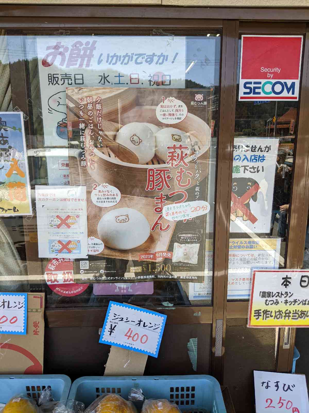 投稿された画像