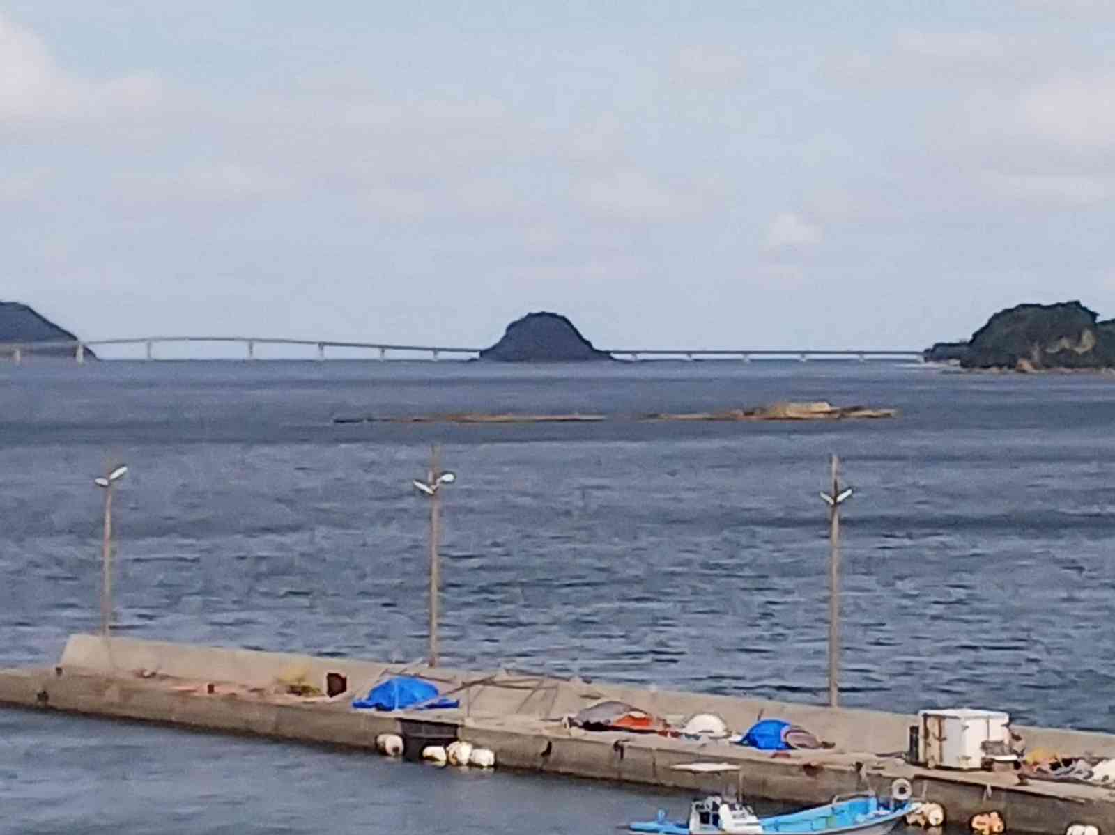 投稿された画像