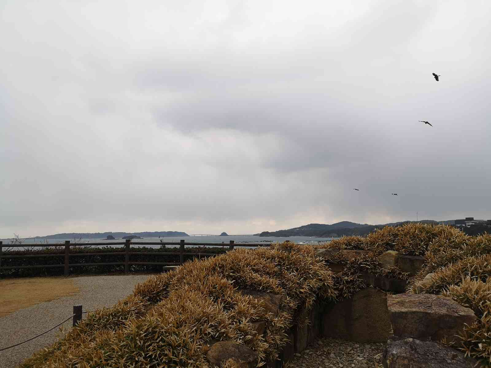 投稿された画像