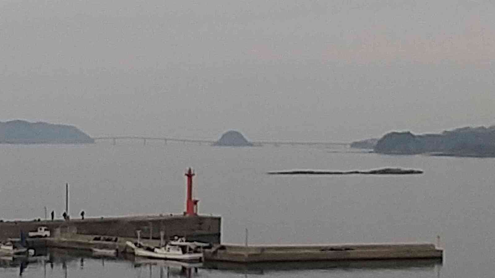 投稿された画像