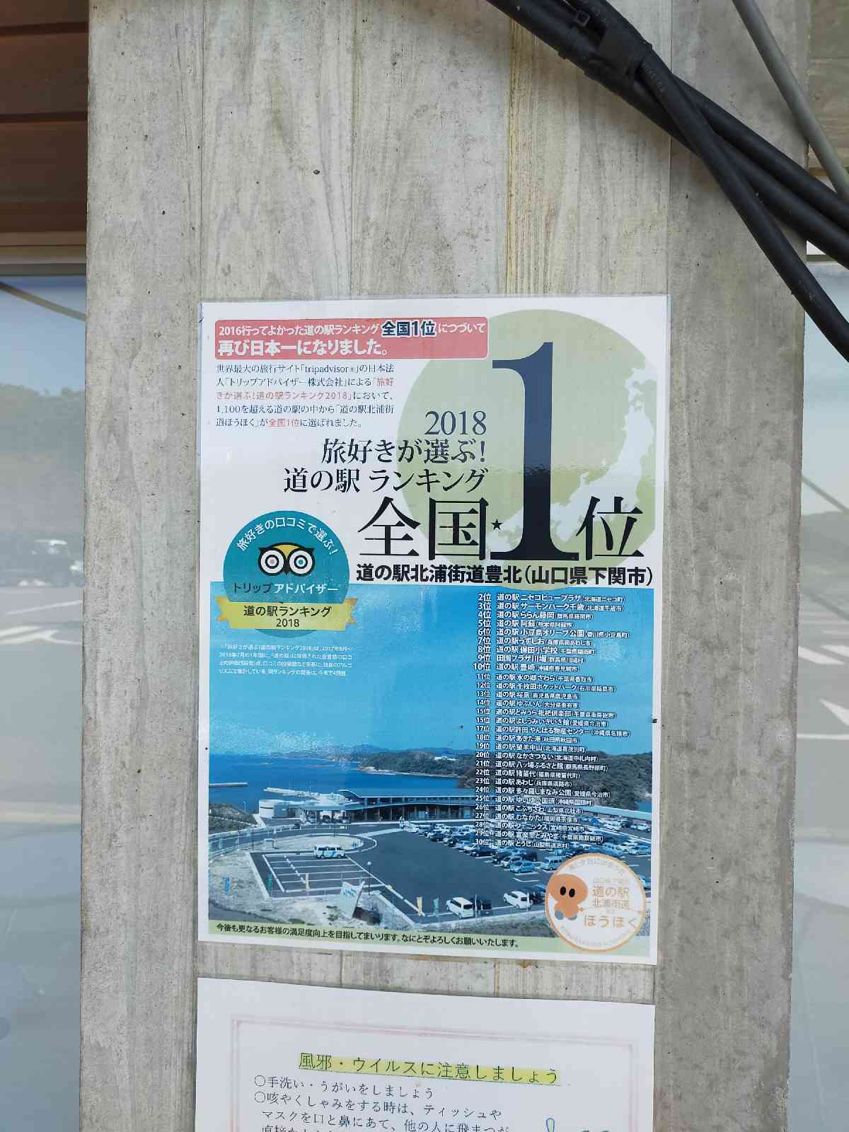 投稿された画像