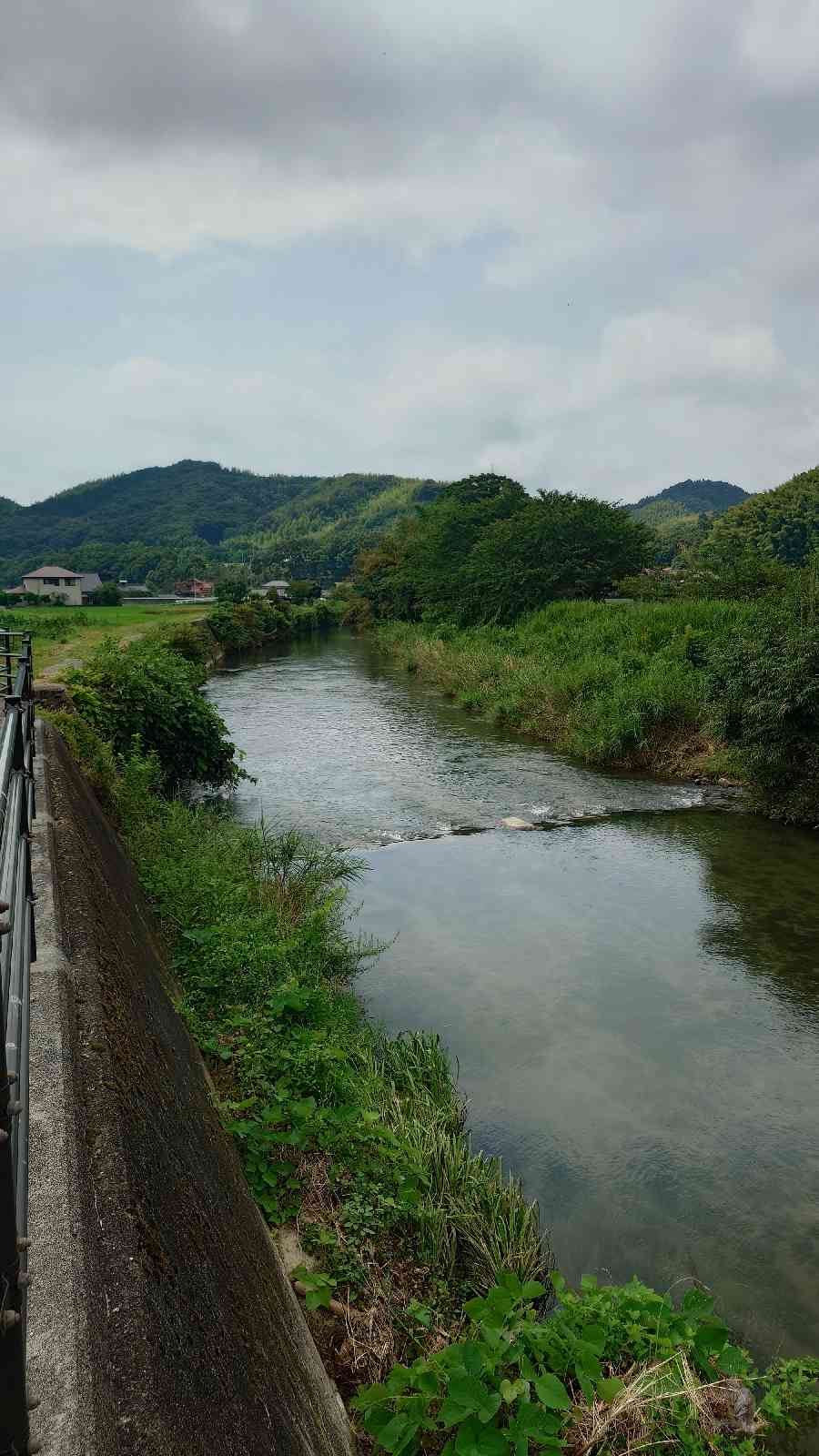 道の駅 ソレーネ周南の写真