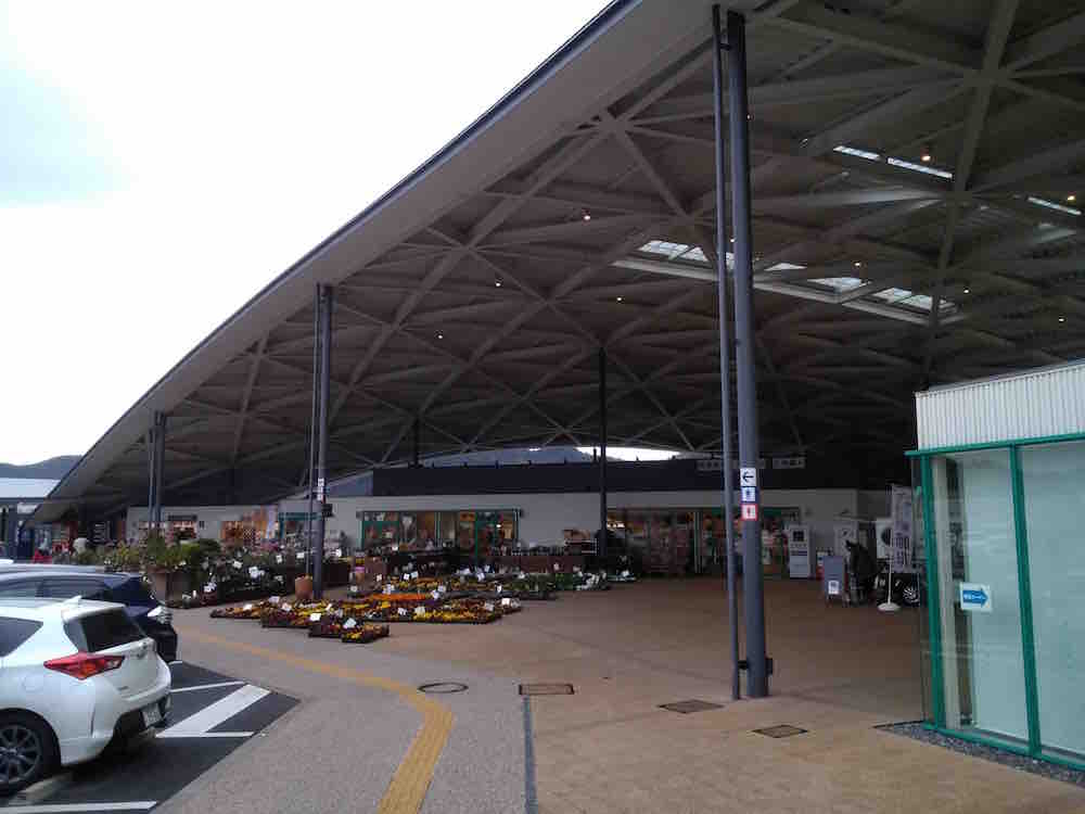 投稿された画像