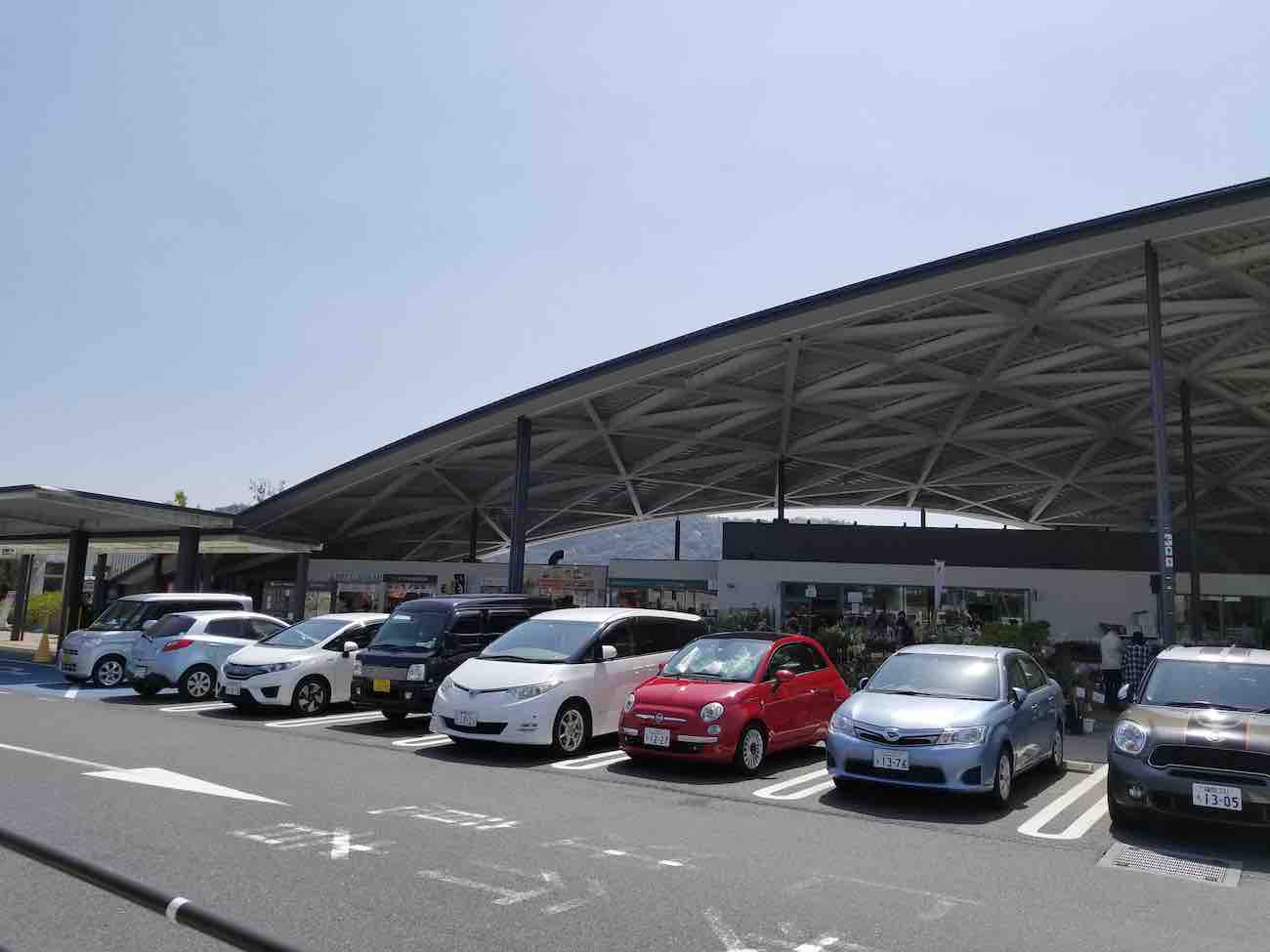 投稿された画像