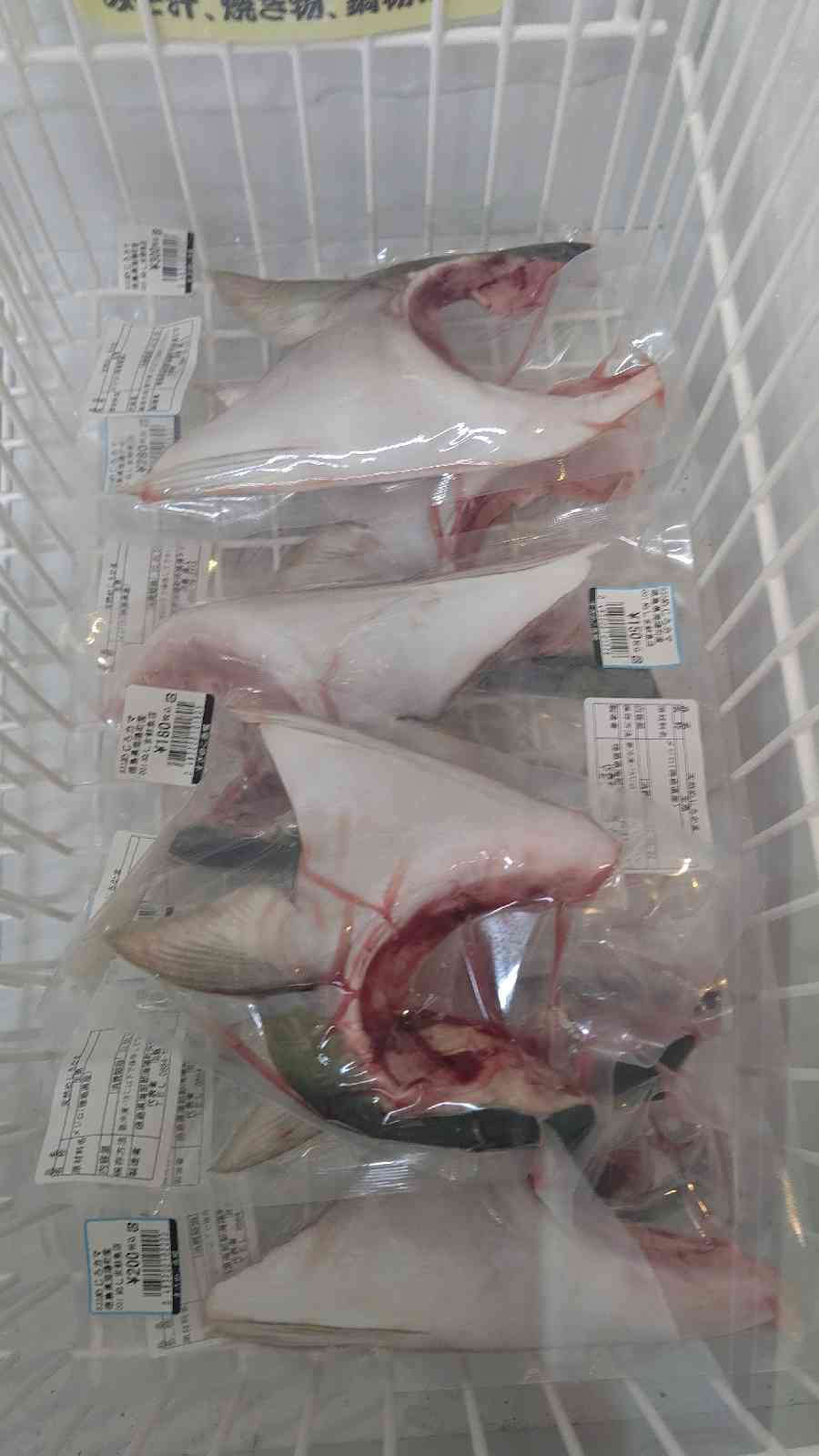 投稿された画像