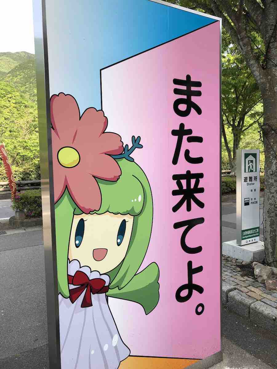 投稿された画像