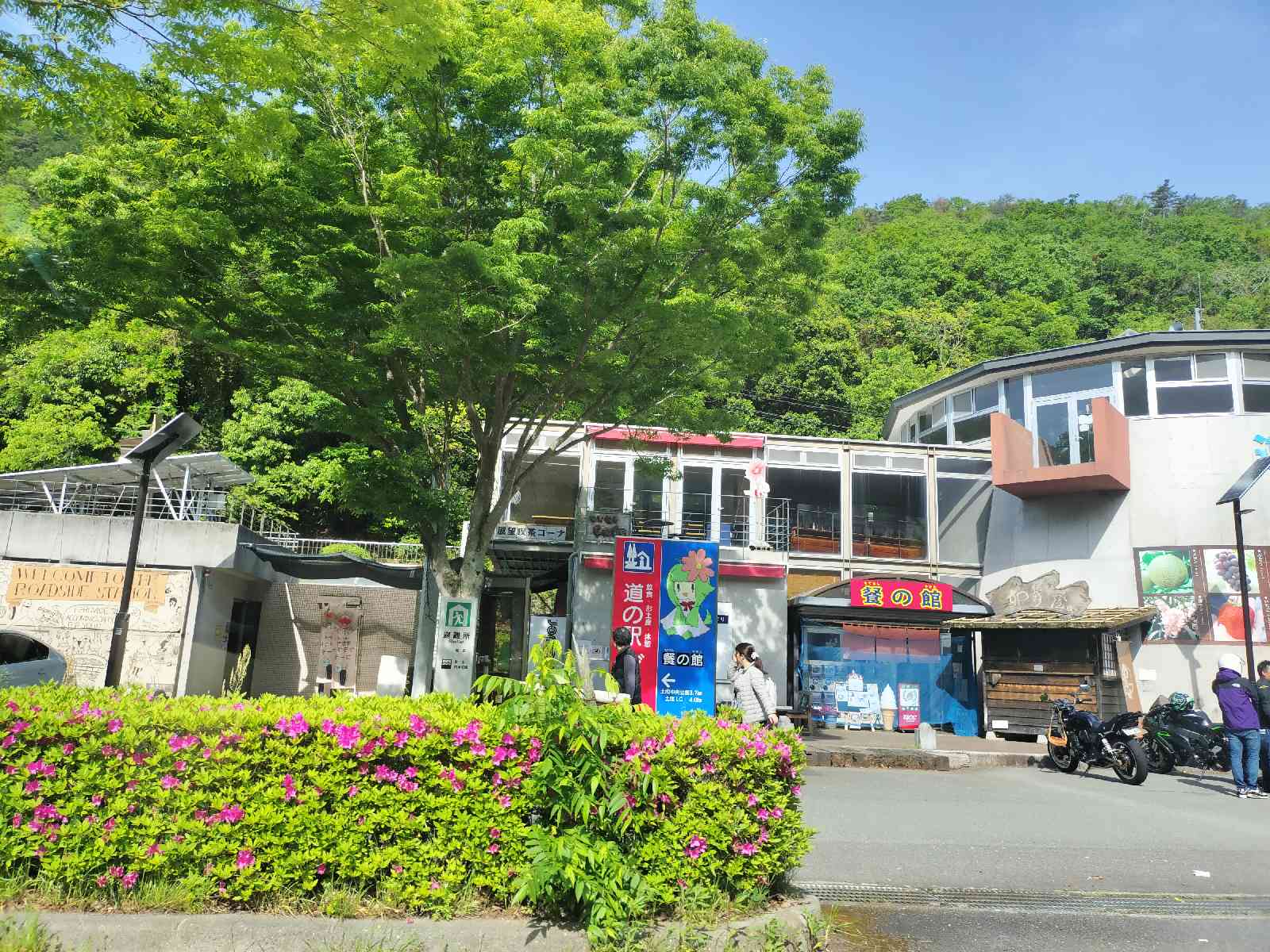 投稿された画像